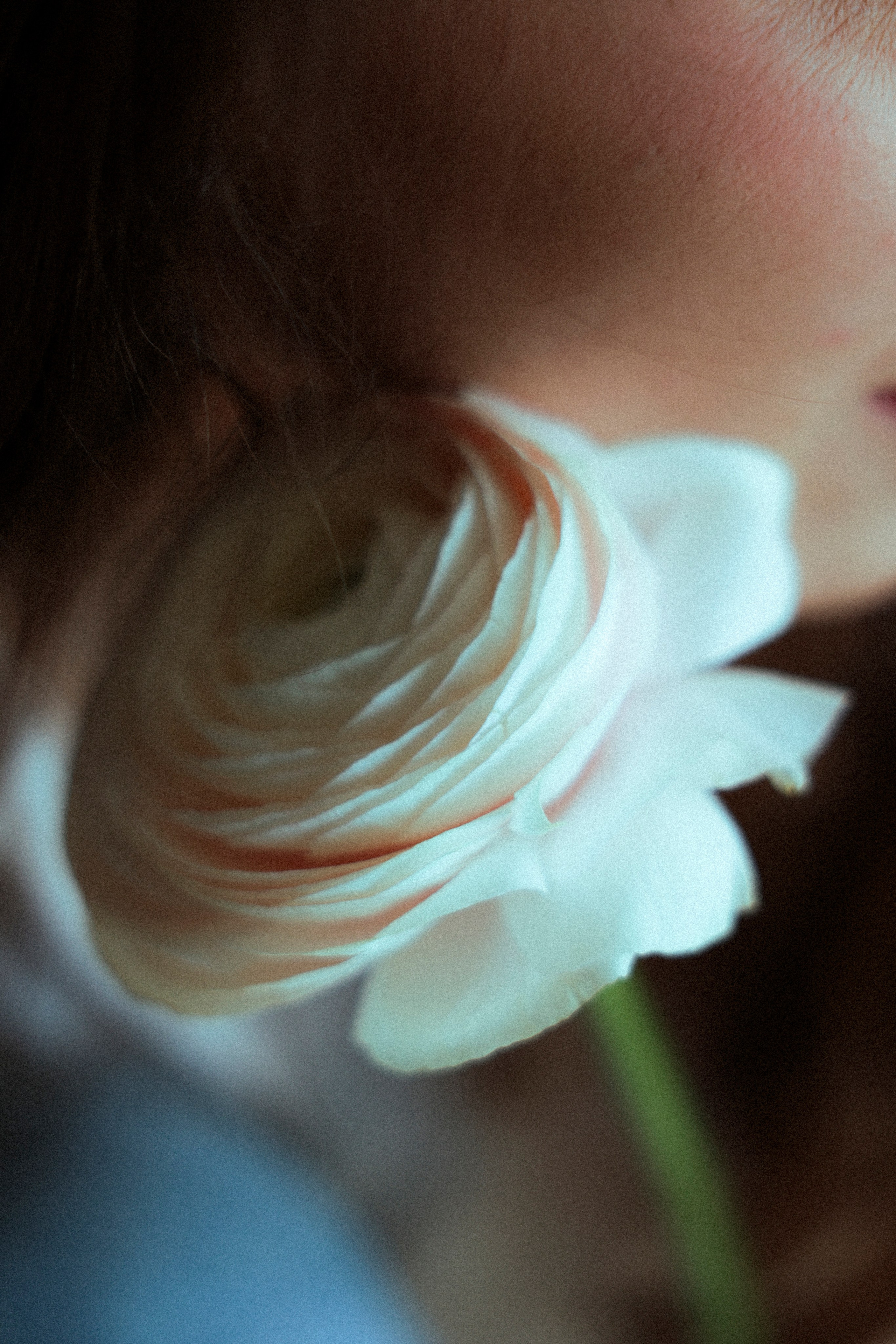 Ксю. Фотограф НатаФото (Наталья Яковенко) Дмитров Москва Питер