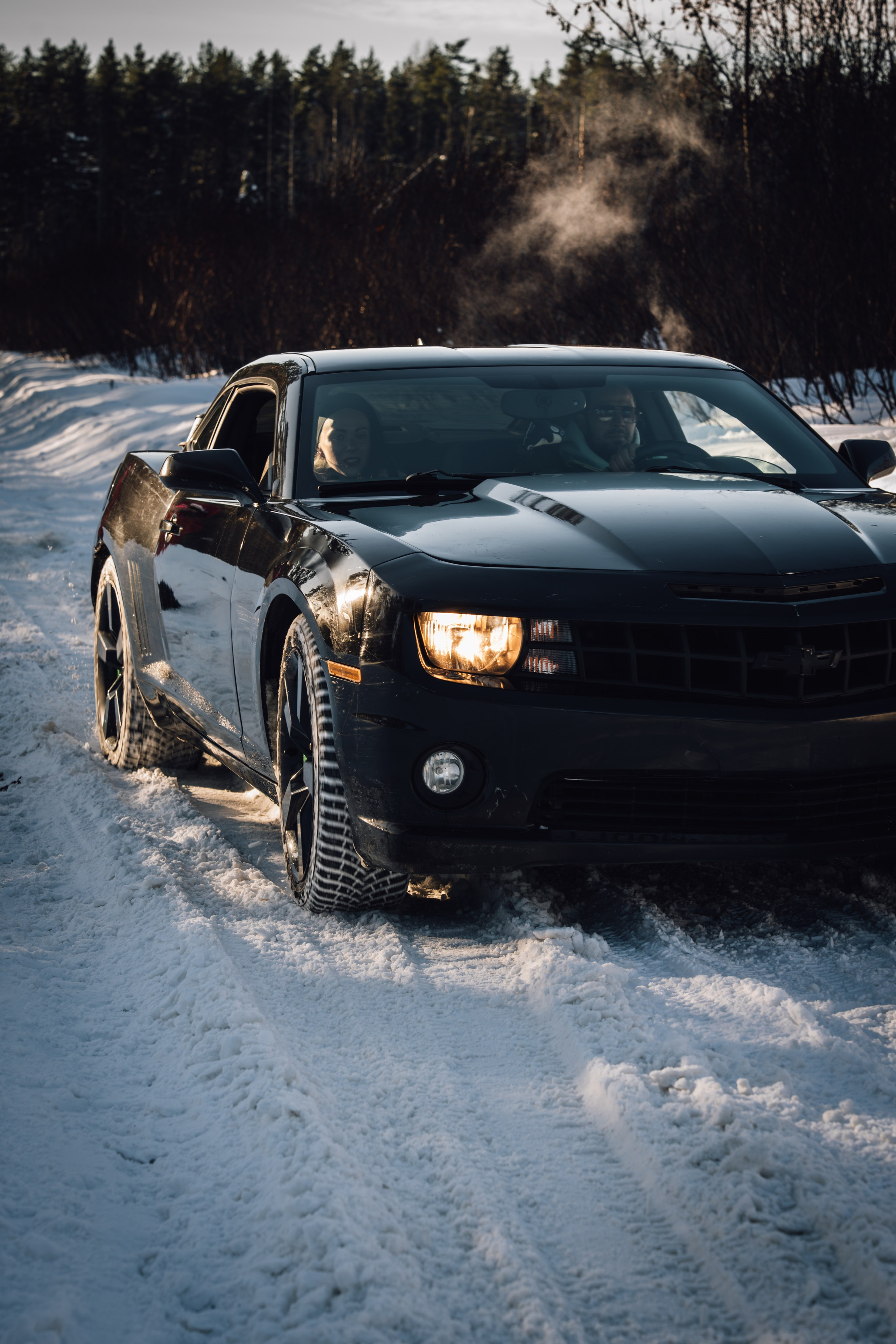 Масленица с Комаро. Семейный и детский фотограф в Королеве, Москве и Московской области Строева Анастасия