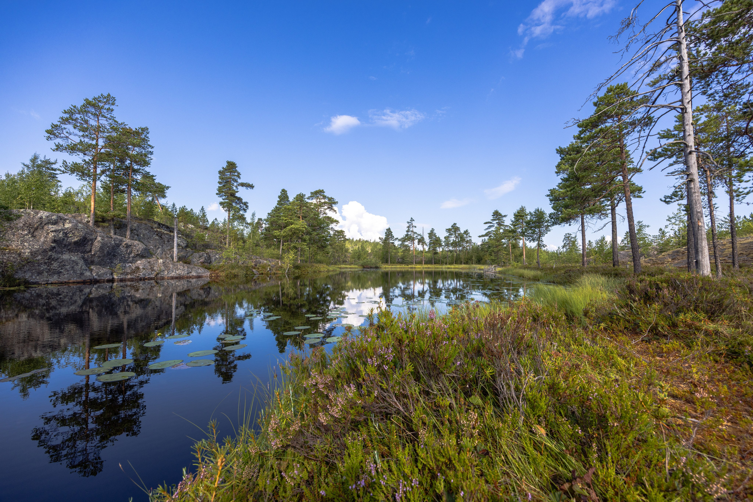 Ладога. Автомобильная фотография в Санкт-Петербурге