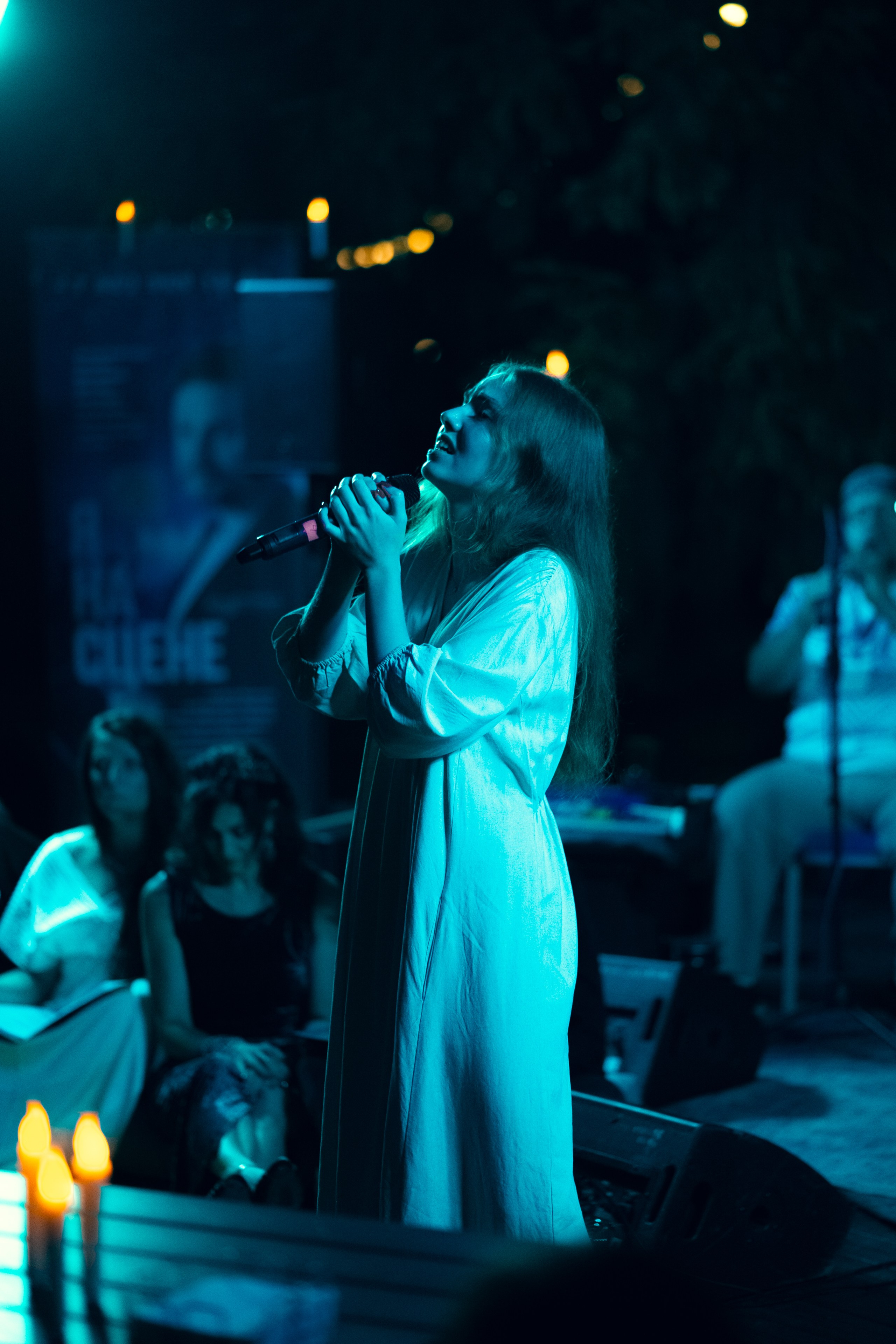 Фестиваль музыки Signon Open Air Fest