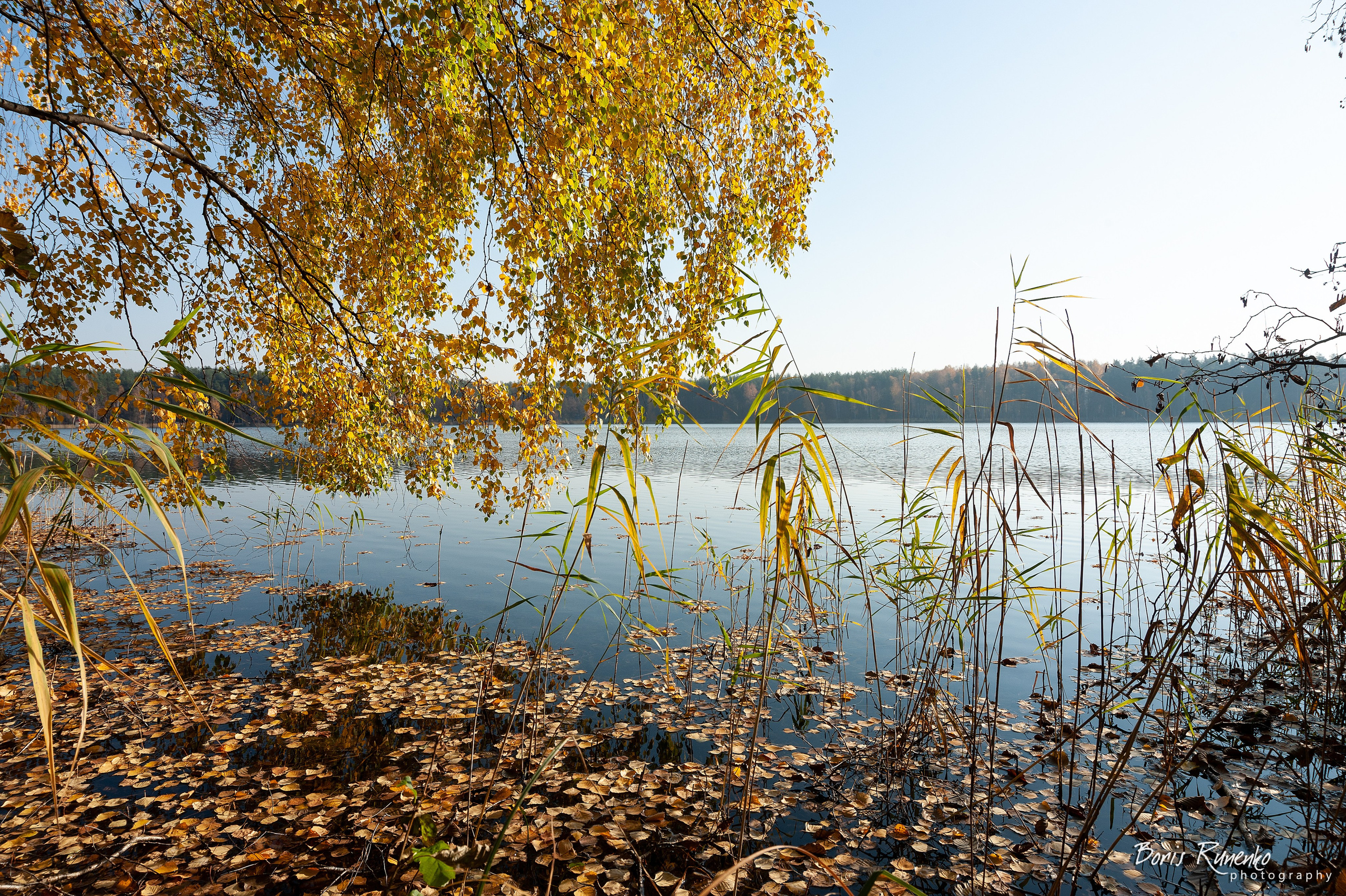 Озеро Белое. Московская область. Борис Руненко. Пейзажный и travel-фотограф