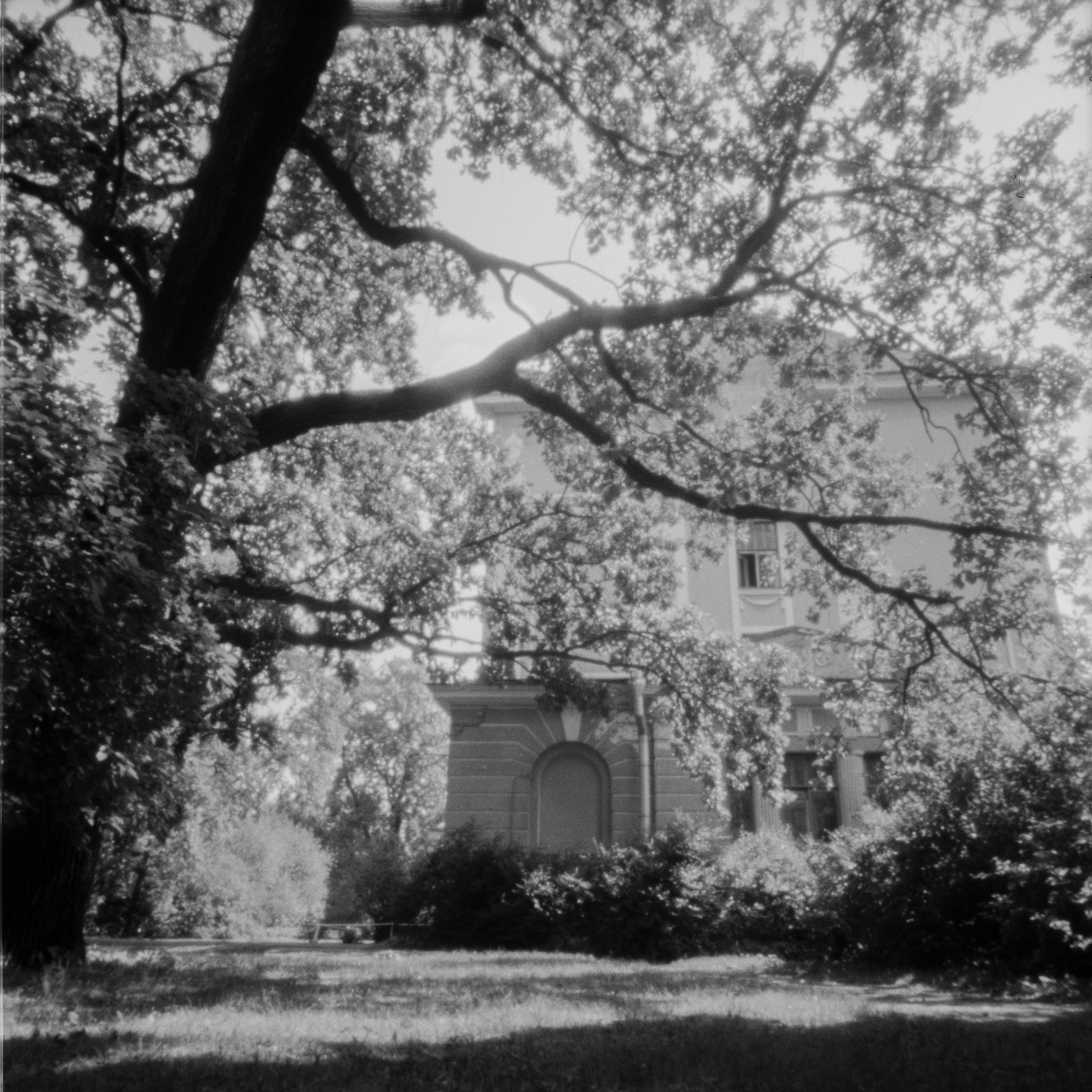 Pinhole. Philipp Yelistratov