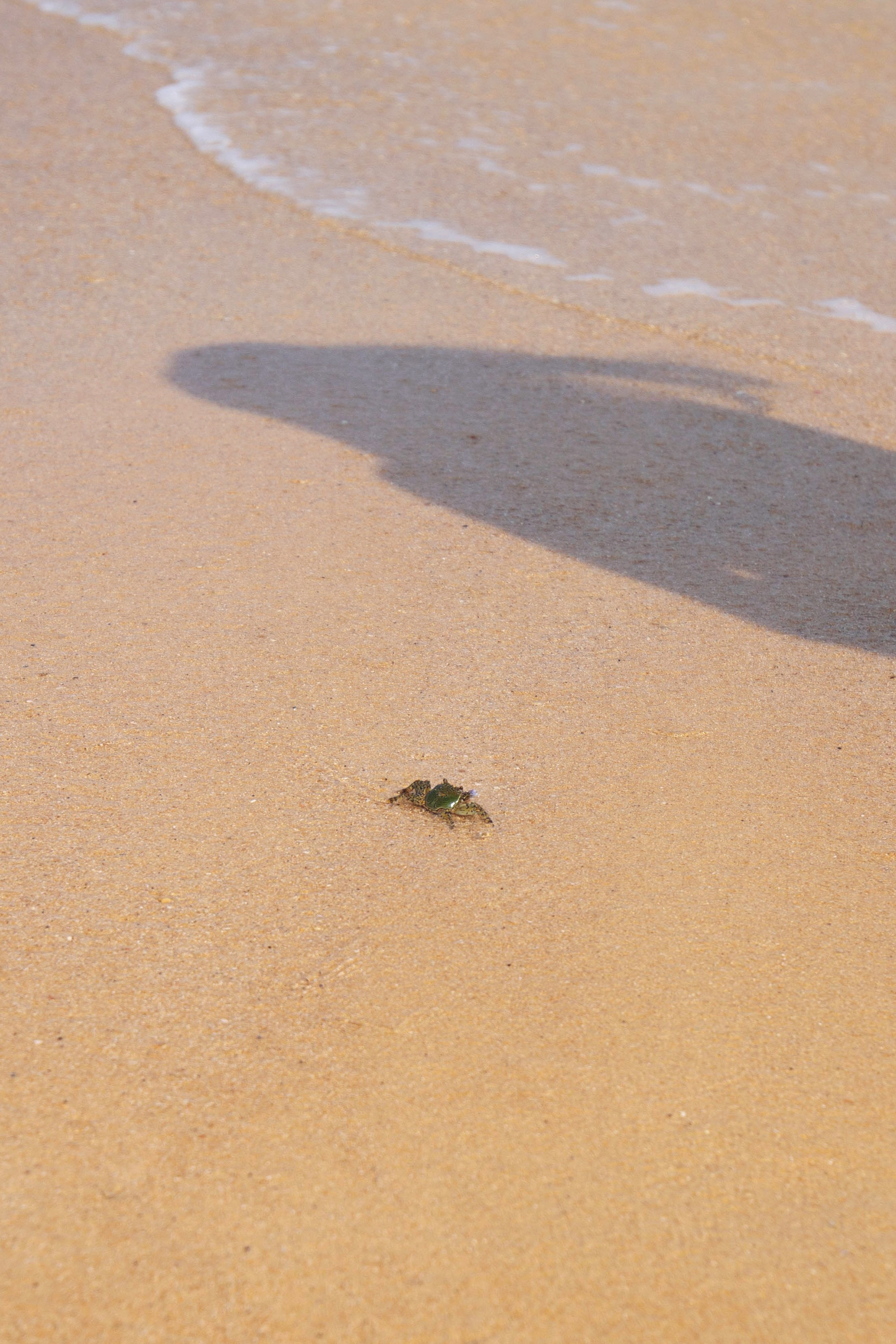Тестовая съемка модели Кати Арбатской. Кизя Мисриева — фотограф: плёнка, цифра. Москва и не только