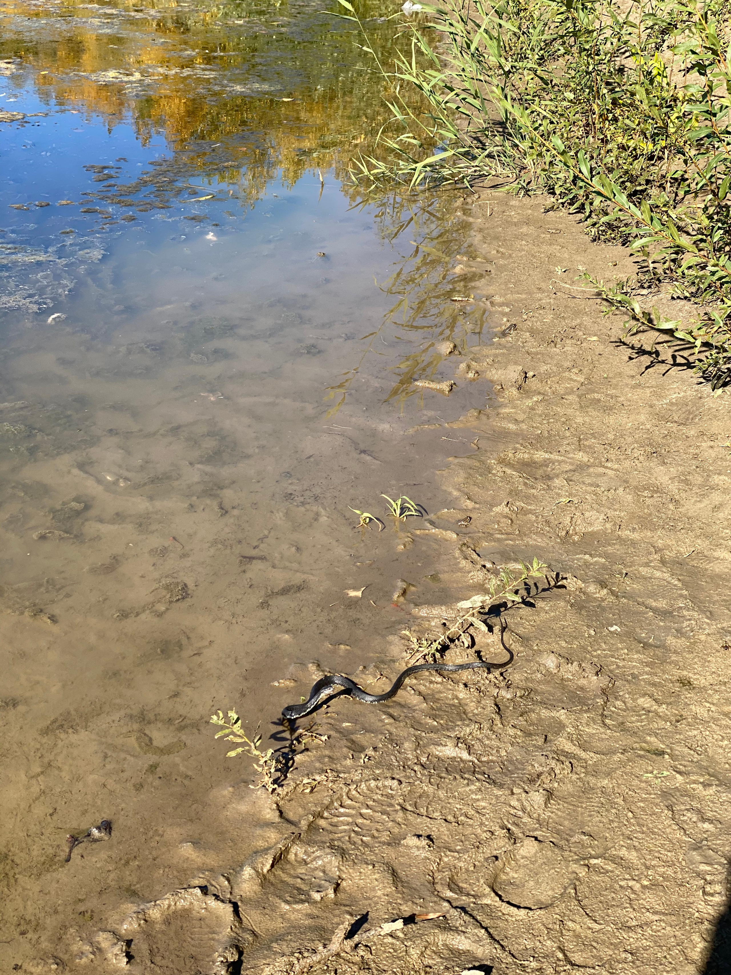 Астрахань — 20. Своя Мастерская