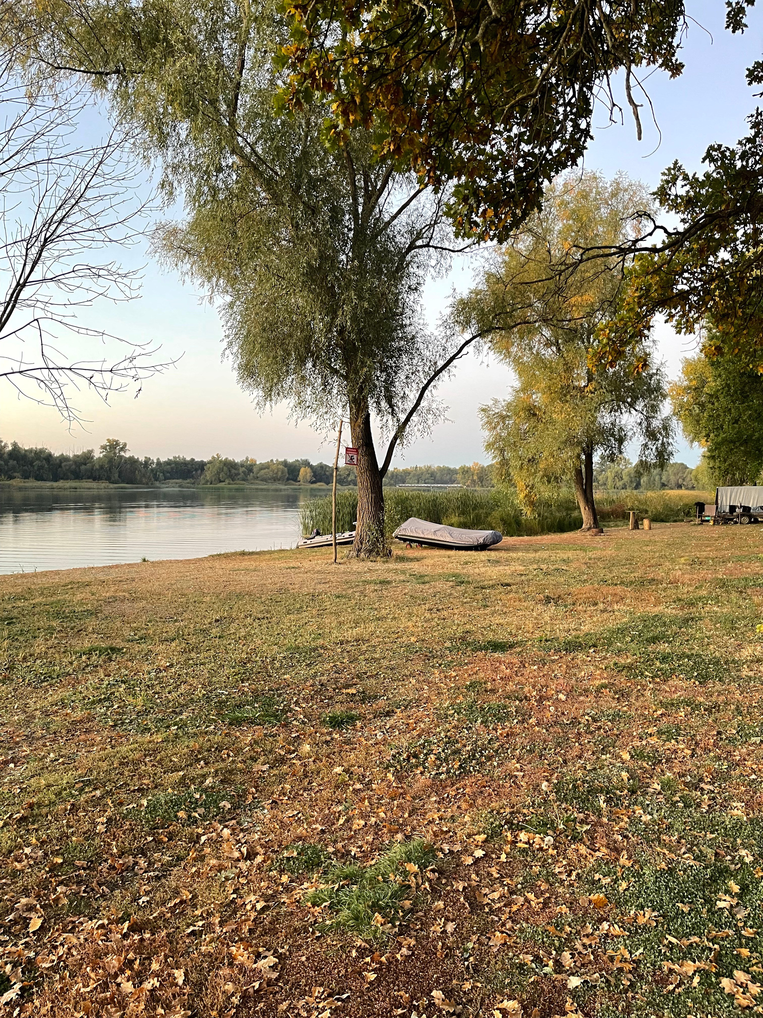 Саратов. Своя Мастерская