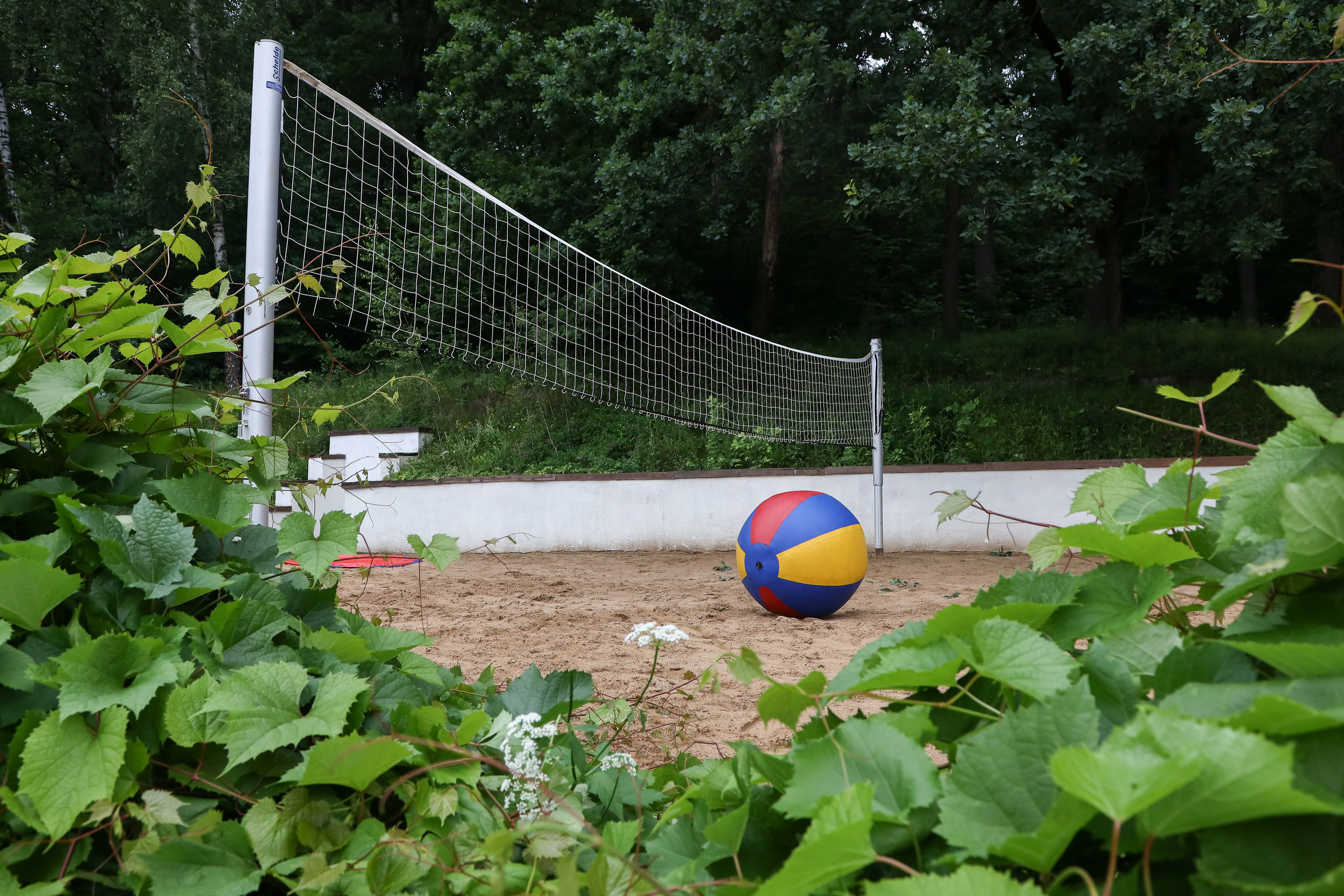 Летний корпоратив Arlight. Фотограф Антон Чупринин