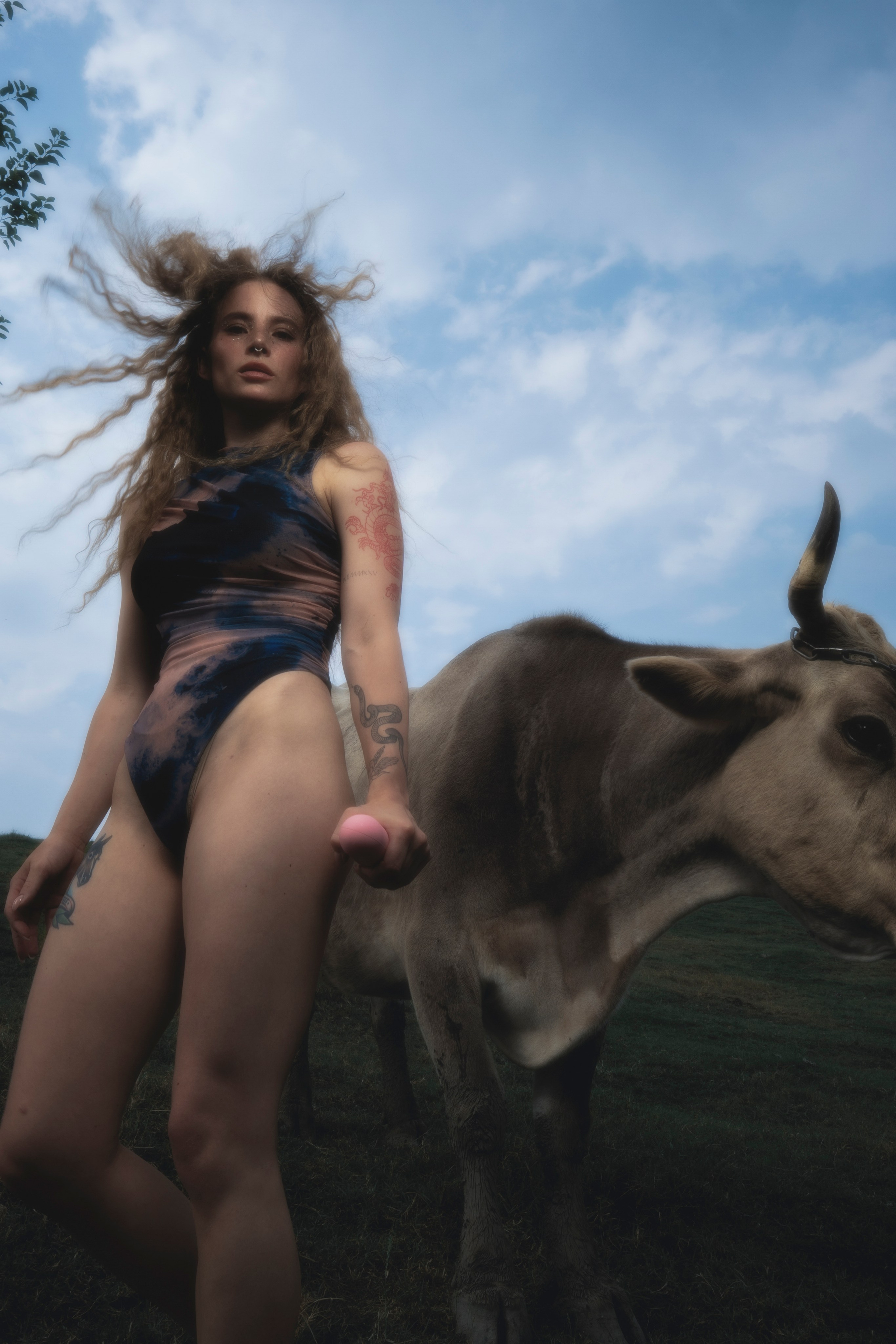 STRANGE FARM. Jorredi