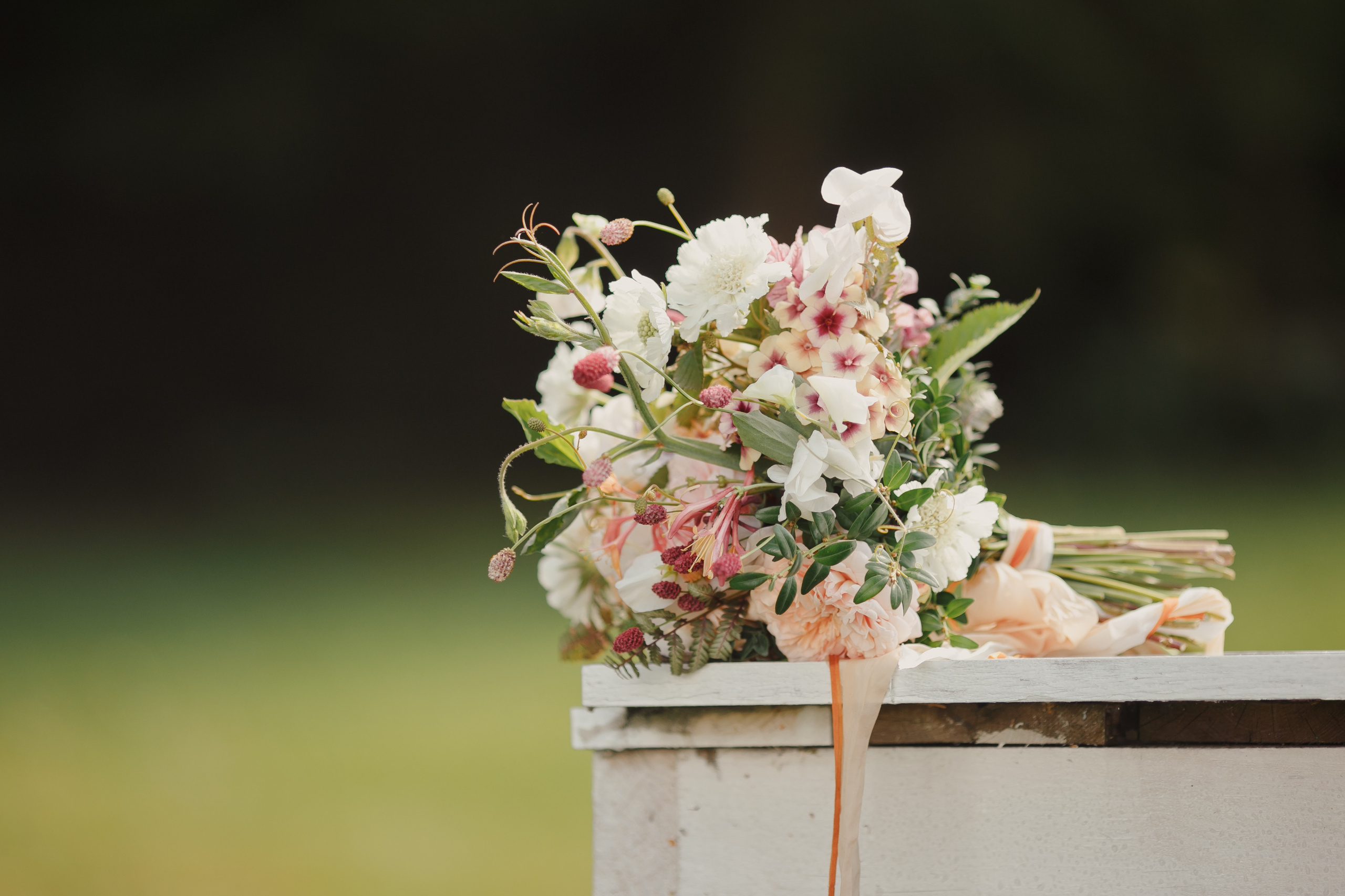 Свадебный и семейный фотограф Ольга Сморжанюк