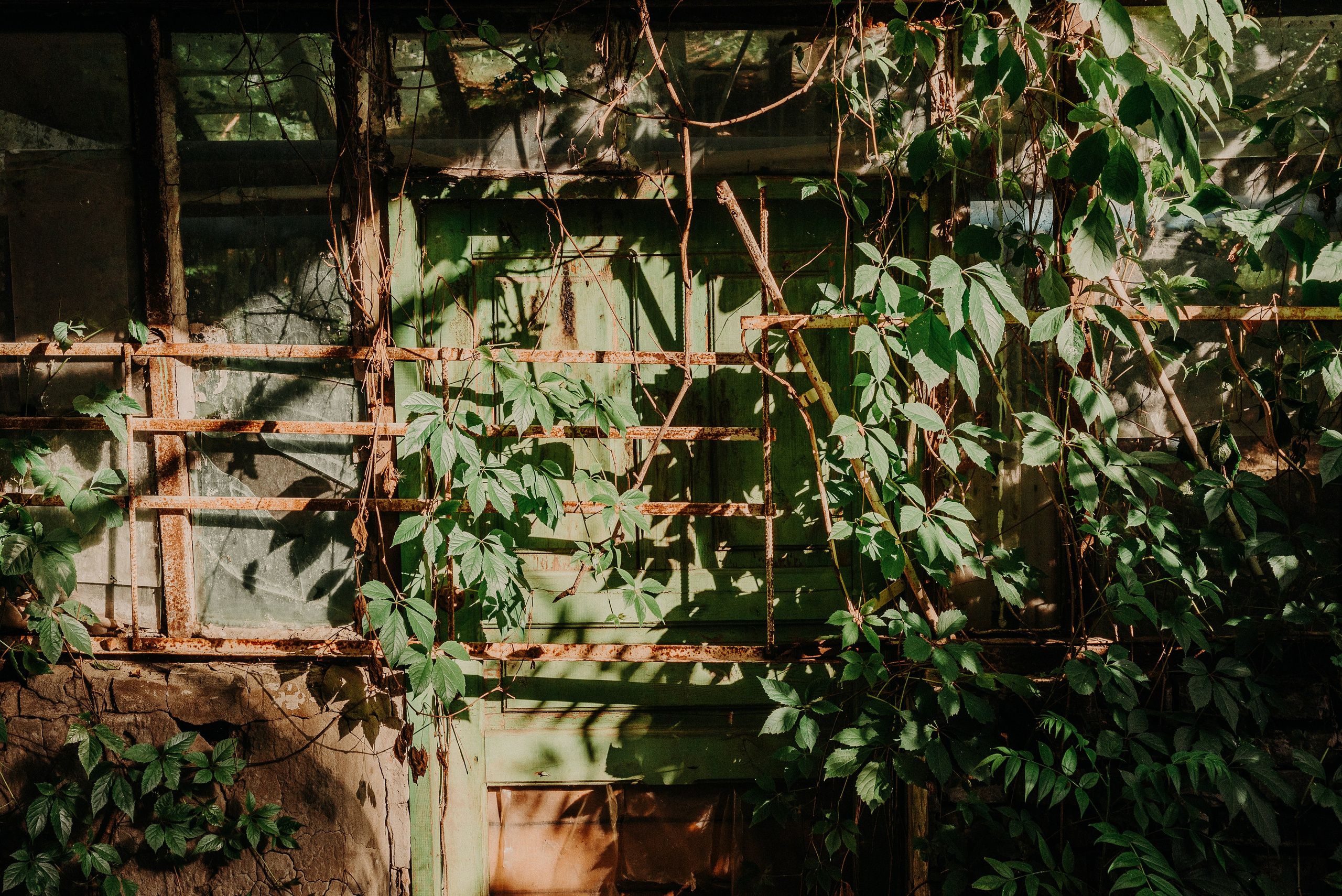 Ростов-на-Дону: через объектив фотографа из Гуанчжоу. Коммерческий и предметный фотограф в Гуанчжоу Коваленко Александр