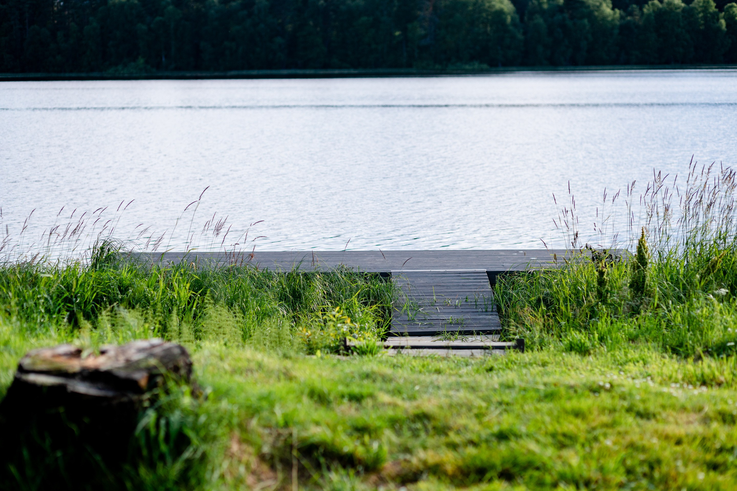 Глэмпинг LampiCamp (Карелия). Павел Шарапов | Фотограф | Москва