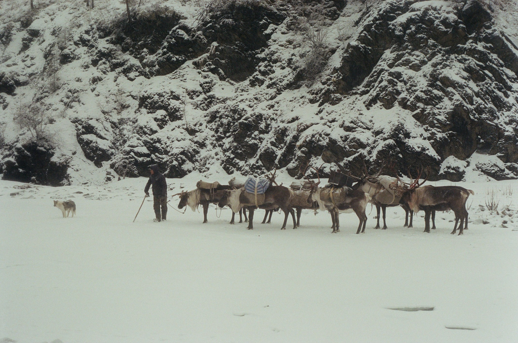 Не забудь накормить озеро. Natalya Madilyan