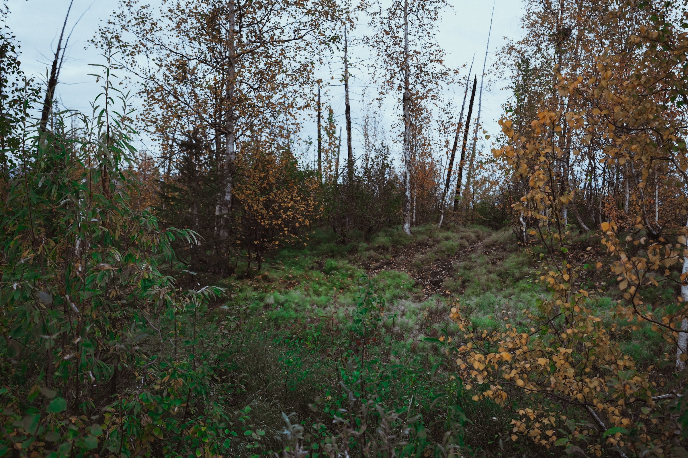 Сказки северных земель. Ворожея (Анастасия). Фотограф Таня Смолянинова