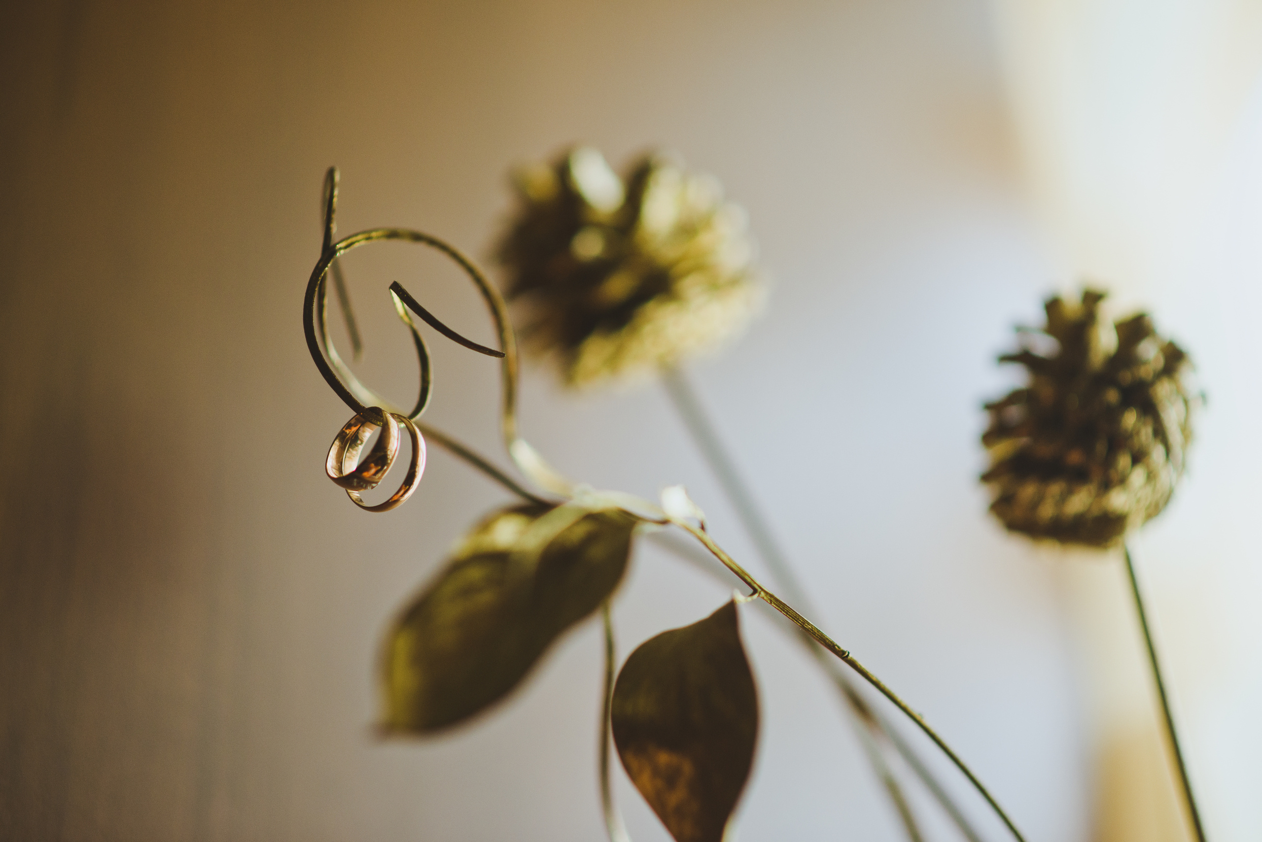 Фотограф Андрей Копий. Фотосъёмка в Нижнем Новгороде и Москве