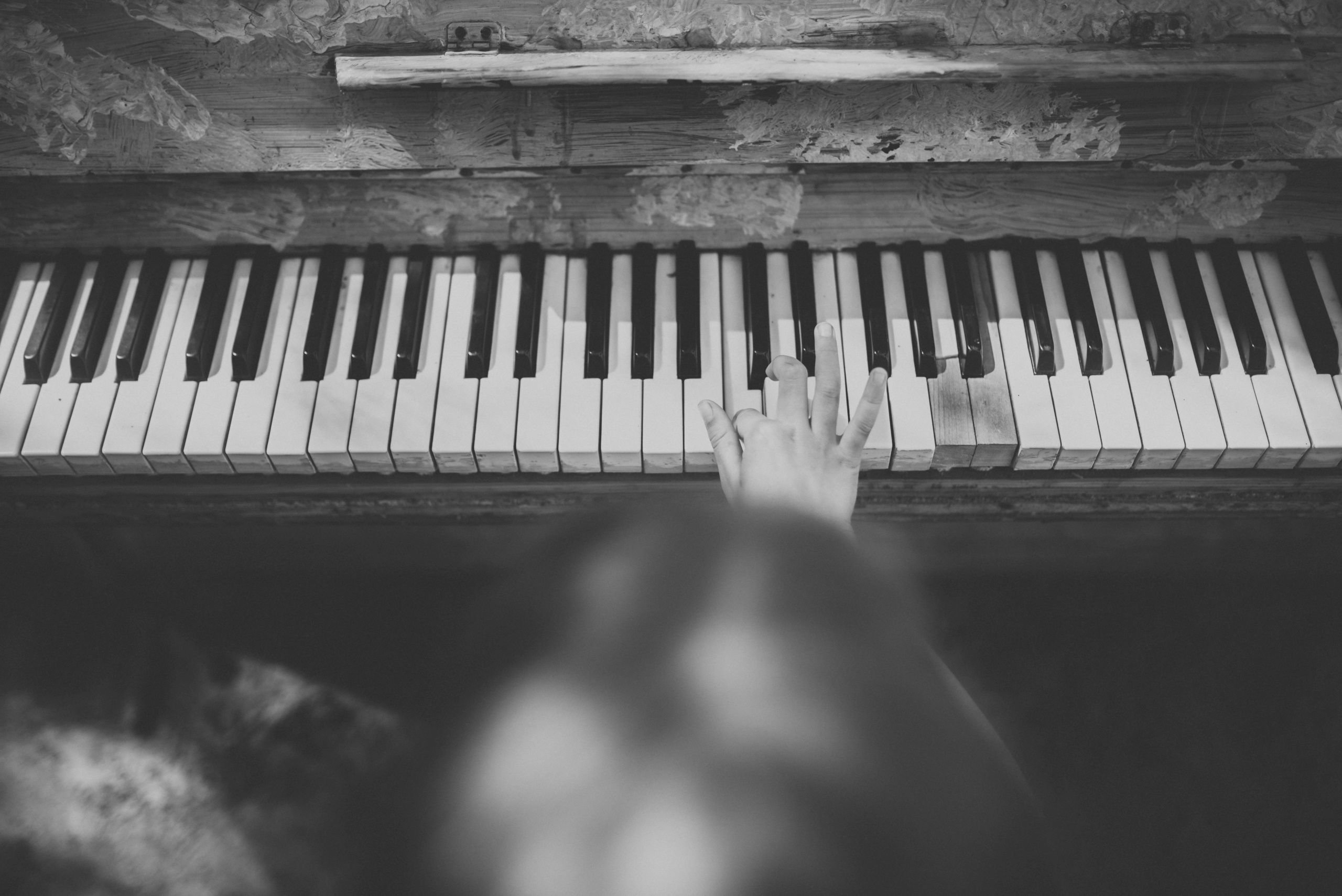 ЛЕСНЫЕ ИГРЫ. Фотограф Андрей Копий. Фотосъёмка в Нижнем Новгороде и Москве