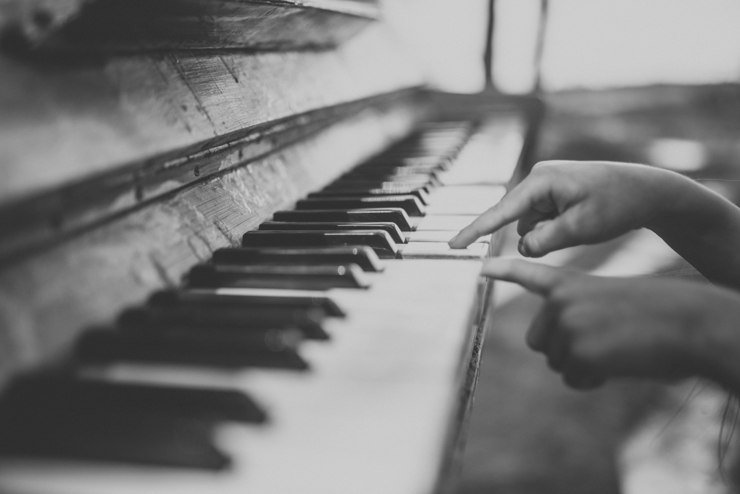 ЛЕСНЫЕ ИГРЫ. Фотограф Андрей Копий. Фотосъёмка в Нижнем Новгороде и Москве