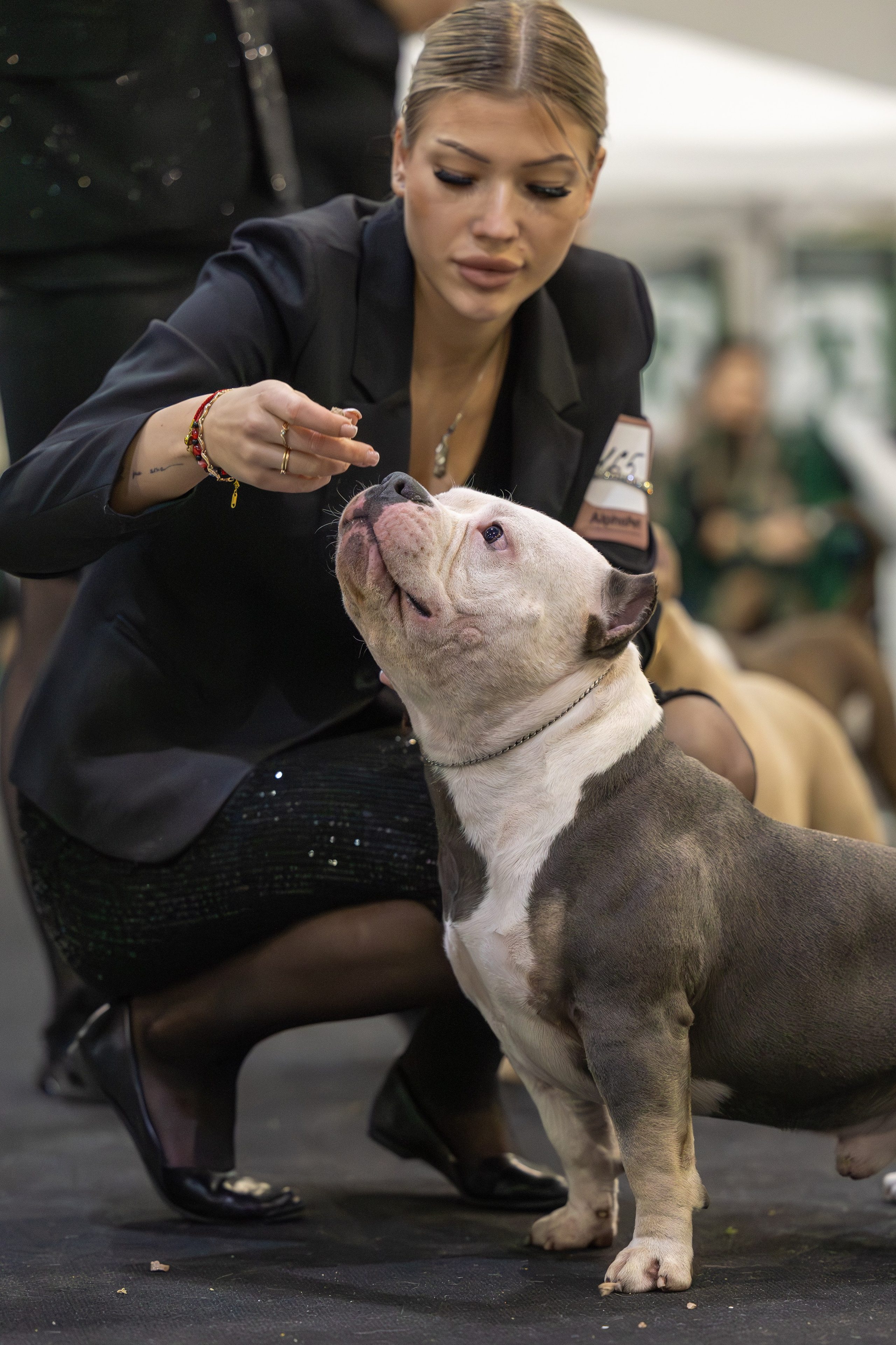 АВКС. Виктория Михайловская. Фотограф-анималист. Москва