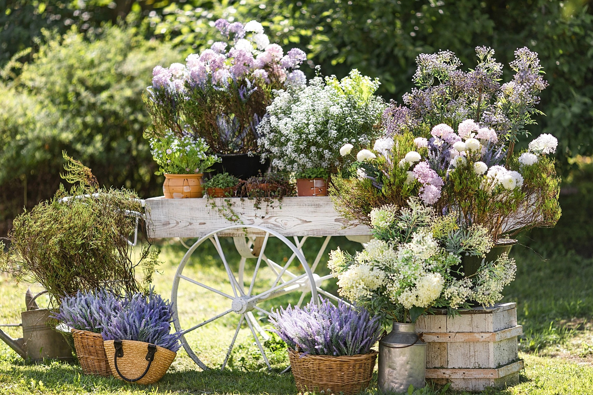 Все фотостудии в Твери. Свадебный и семейный фотограф в Твери и Тверской области