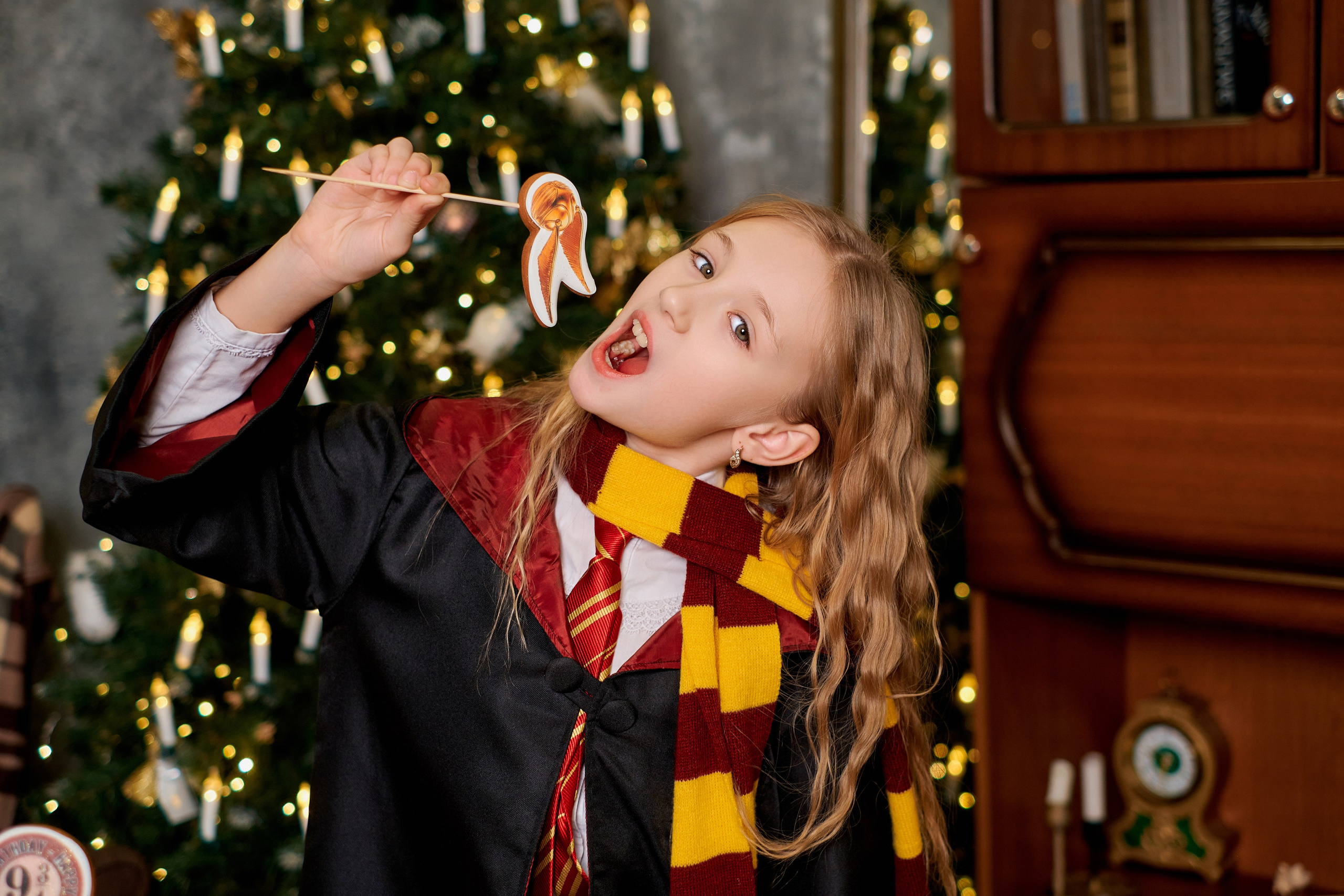 День рождения стиле Гарри Поттер. Фотограф Таганрог Анна Трайжон