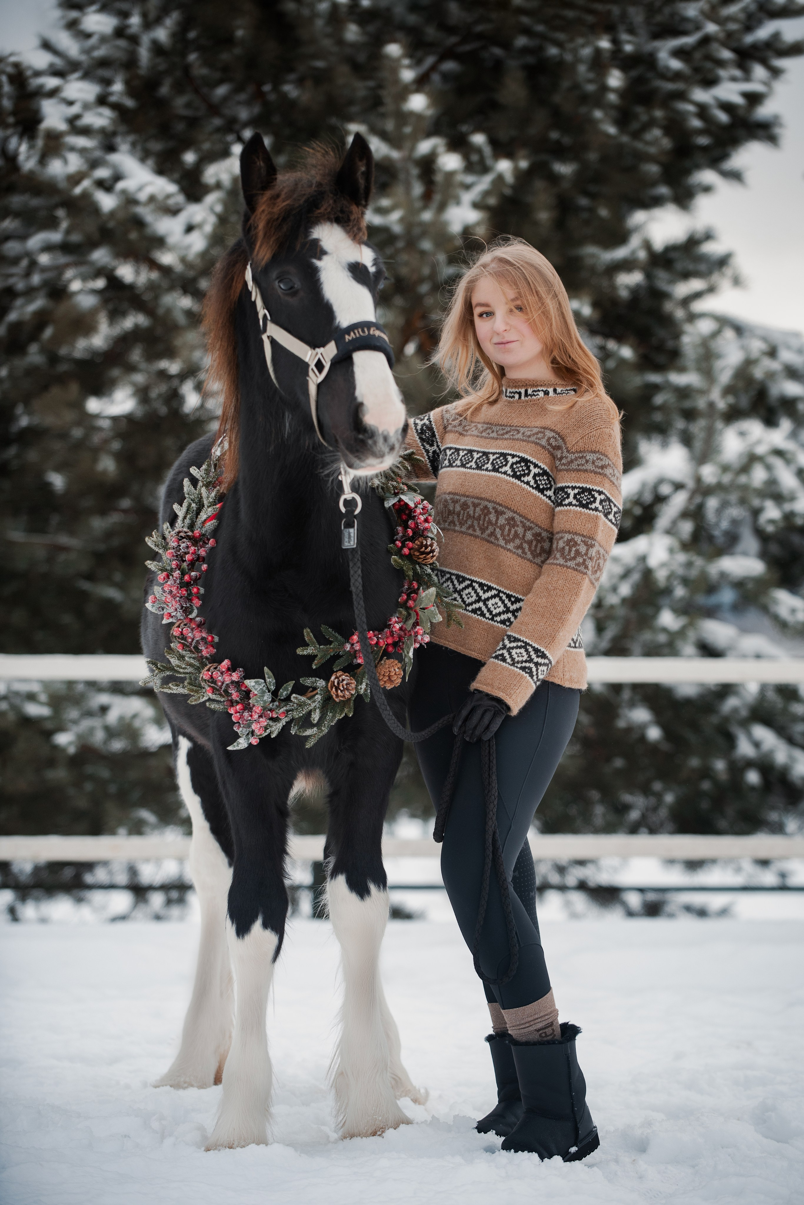 Зимний Настасьин табун. Куракина Дарья • Конный фотограф