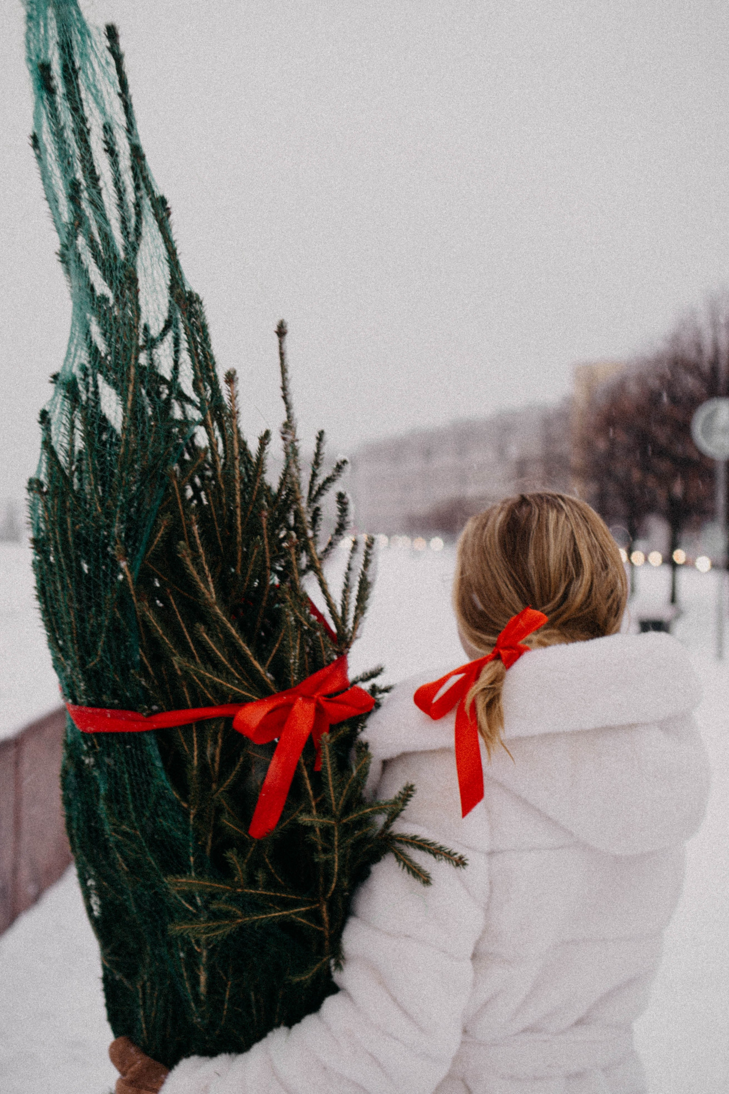 Новогодняя. Профессиональный фотограф, Санкт-Петербург — Виктория Богомолова