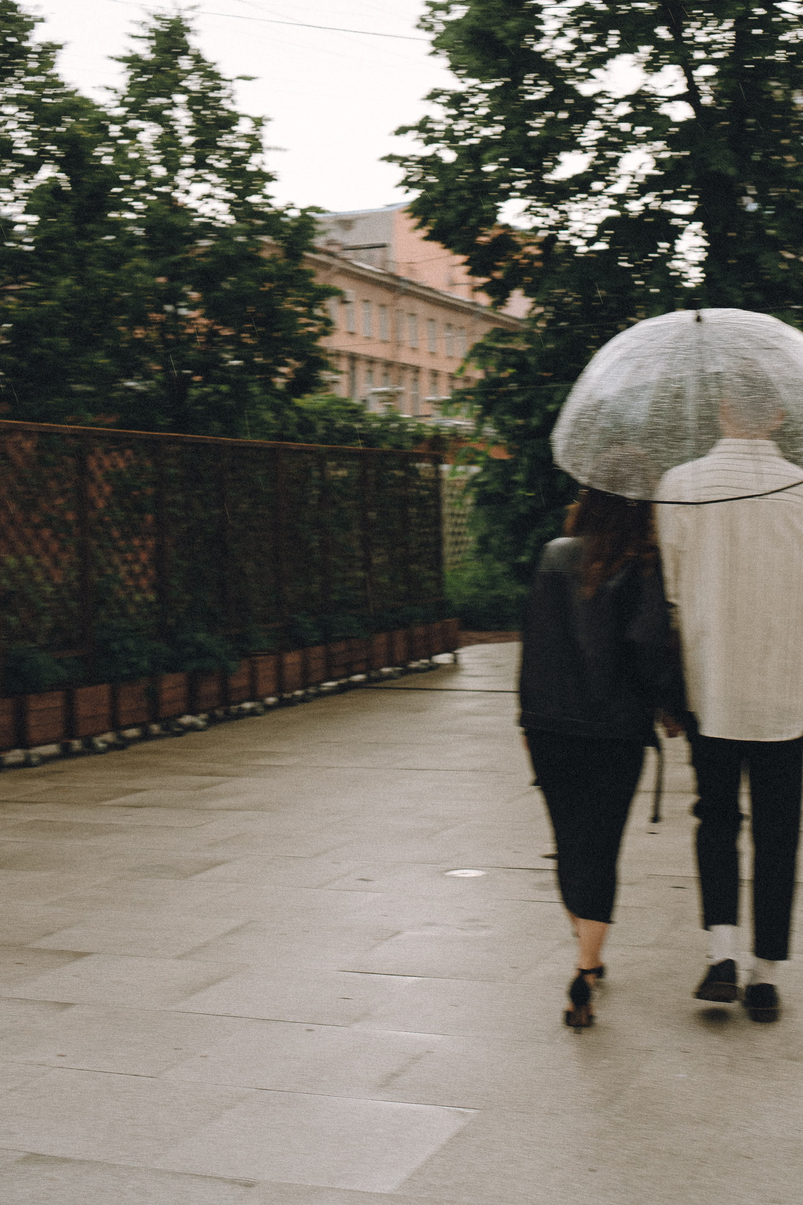 ЛЮБОВЬ В ИЮНЕ. Профессиональный фотограф, Санкт-Петербург — Виктория Богомолова