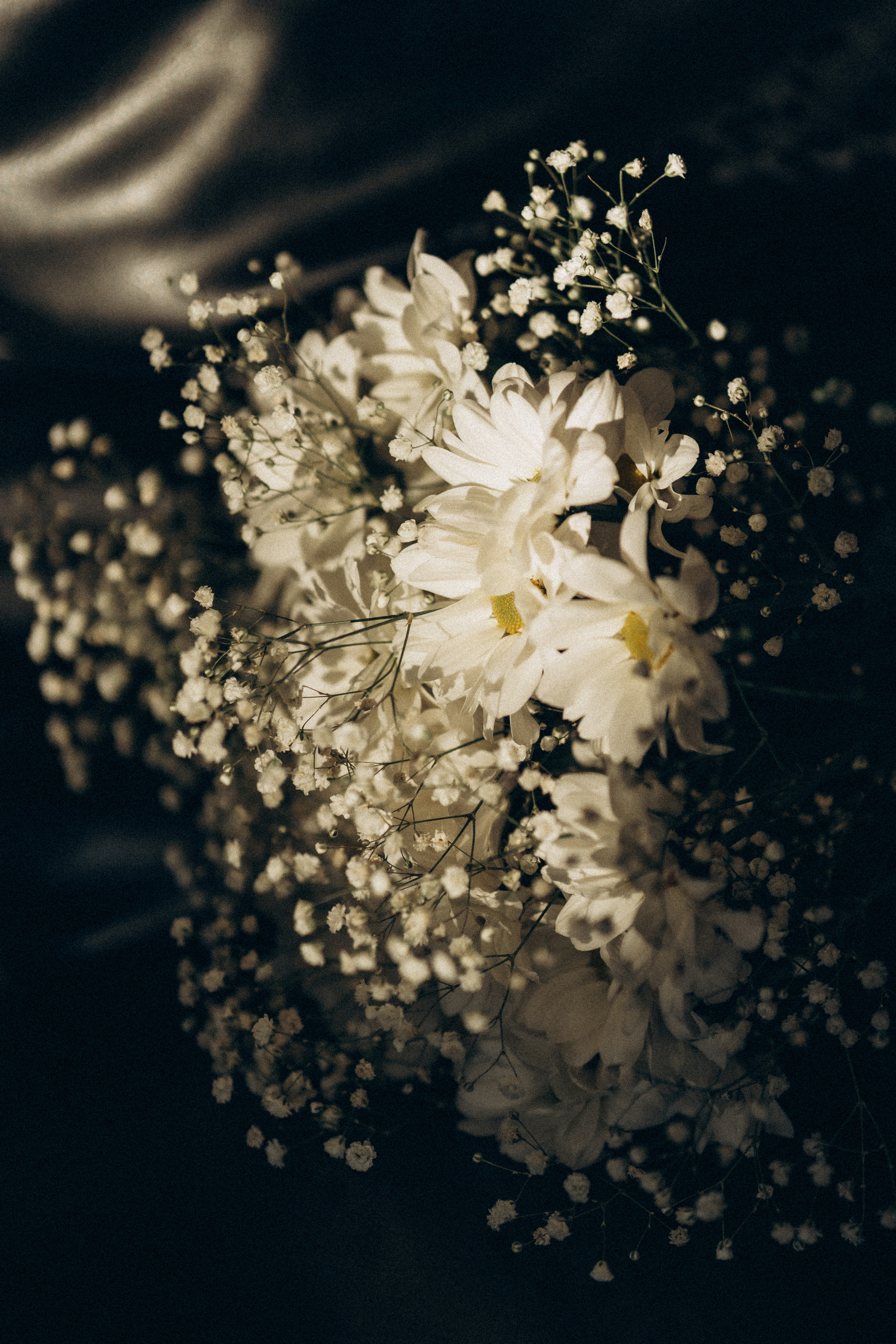 Наташа Коля. Фотограф Контузорова Ольга