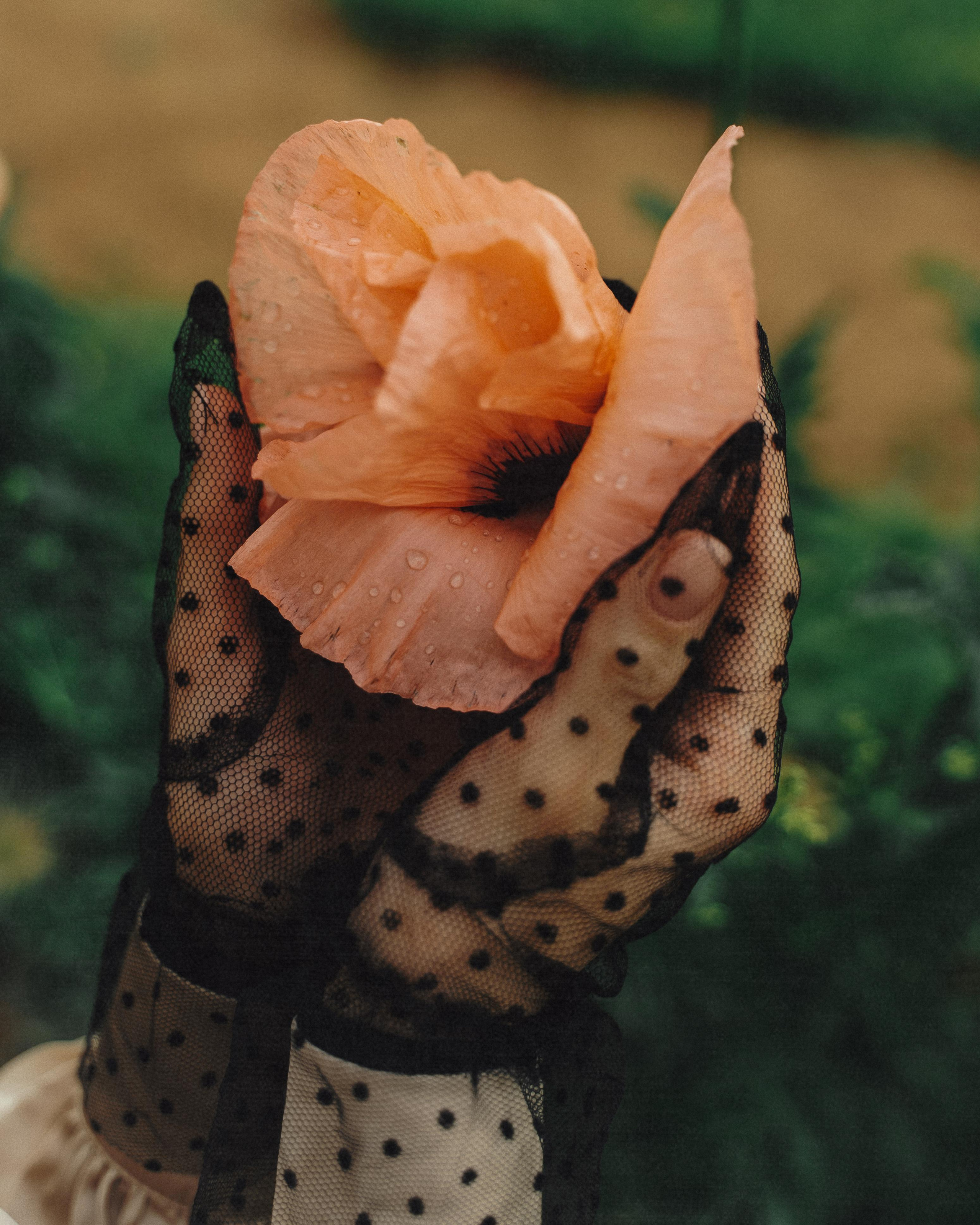 Екатерина. Персональный фотограф Наталья Иванкова, Москва