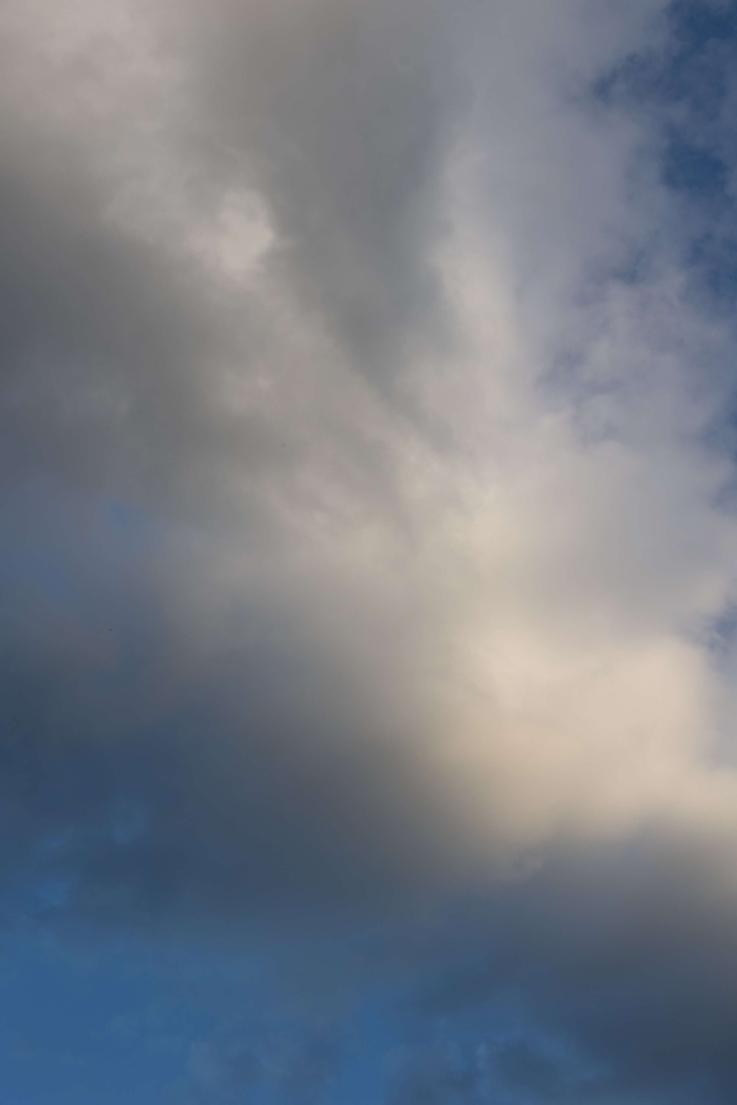 Art prints. Фотограф алина стерхова, алина стерхова фотограф, фотограф москва