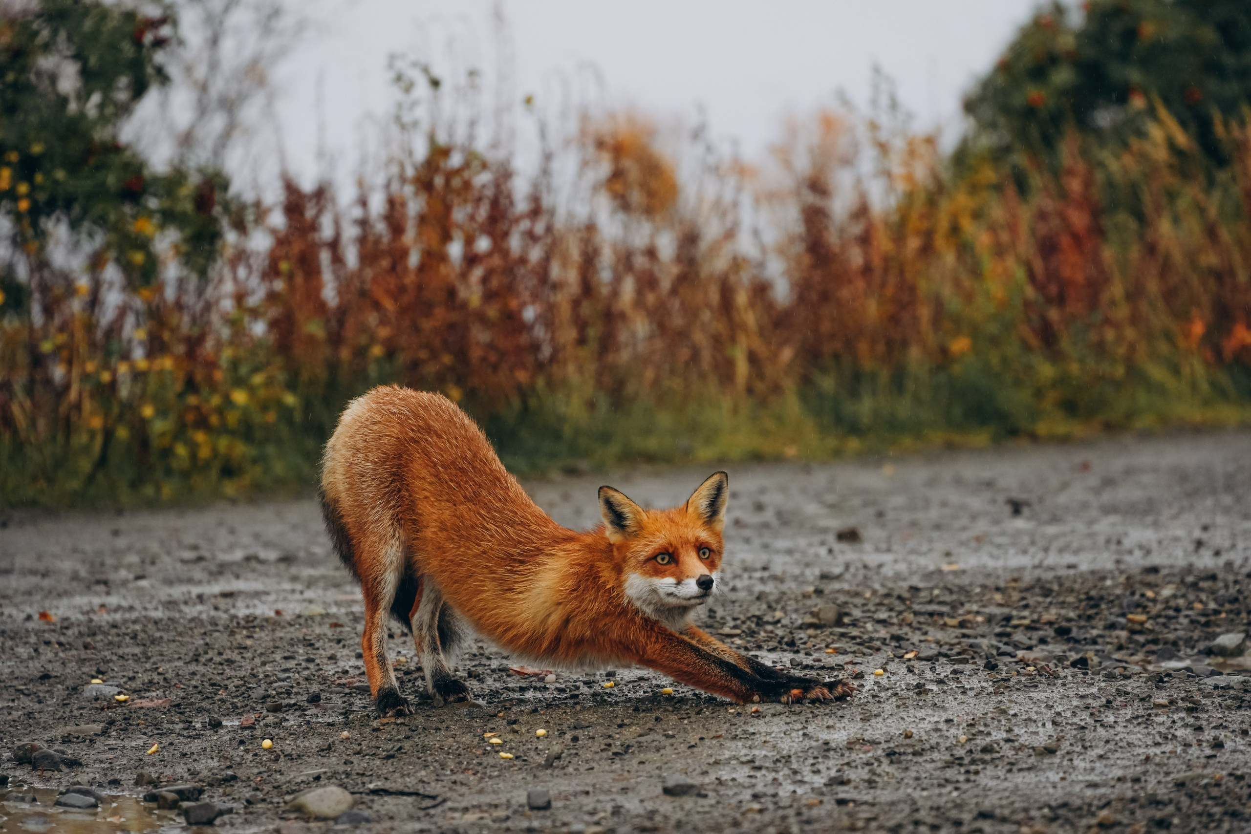 СЕВЕР. Event фотограф Степанова Александра