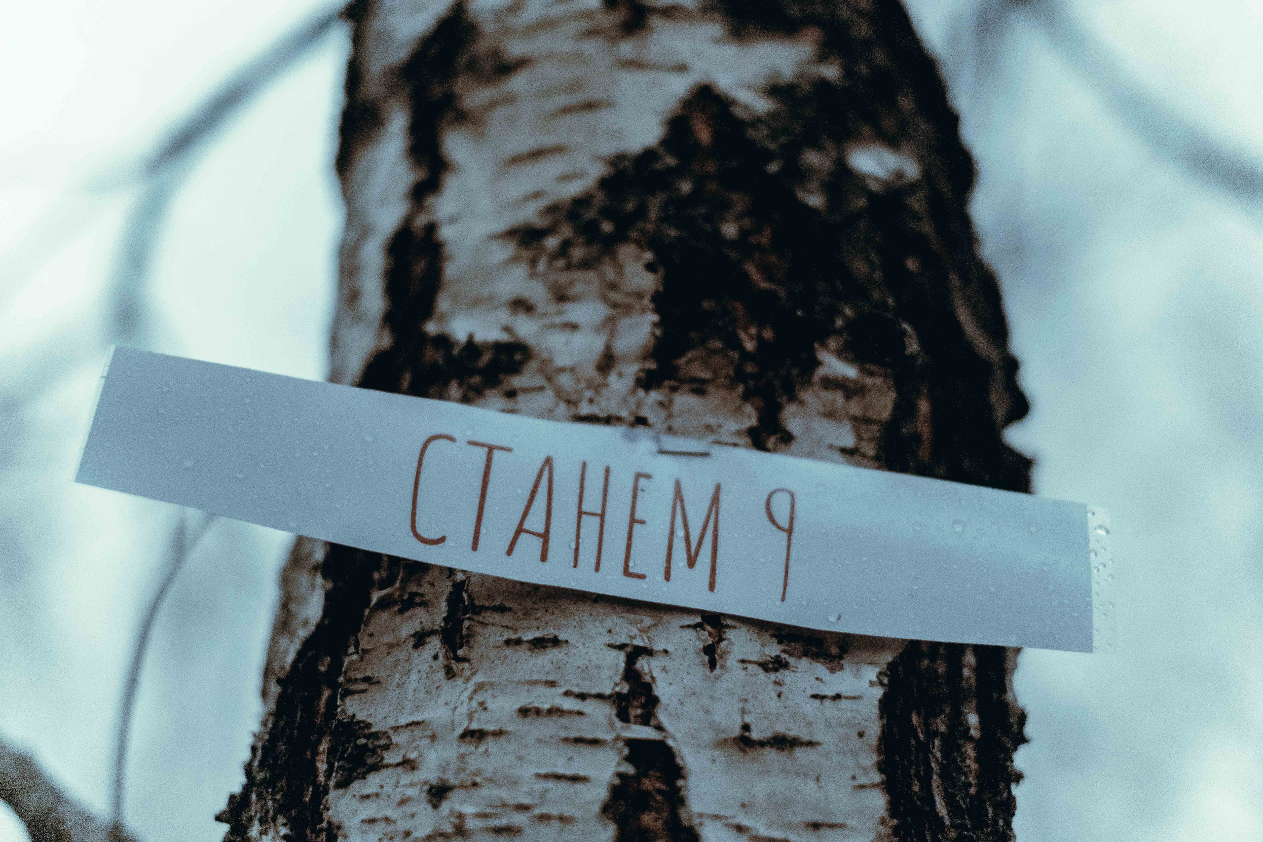 Terra Nova: Пробуждение |Грани Миров. Фотограф Аннё| Москва