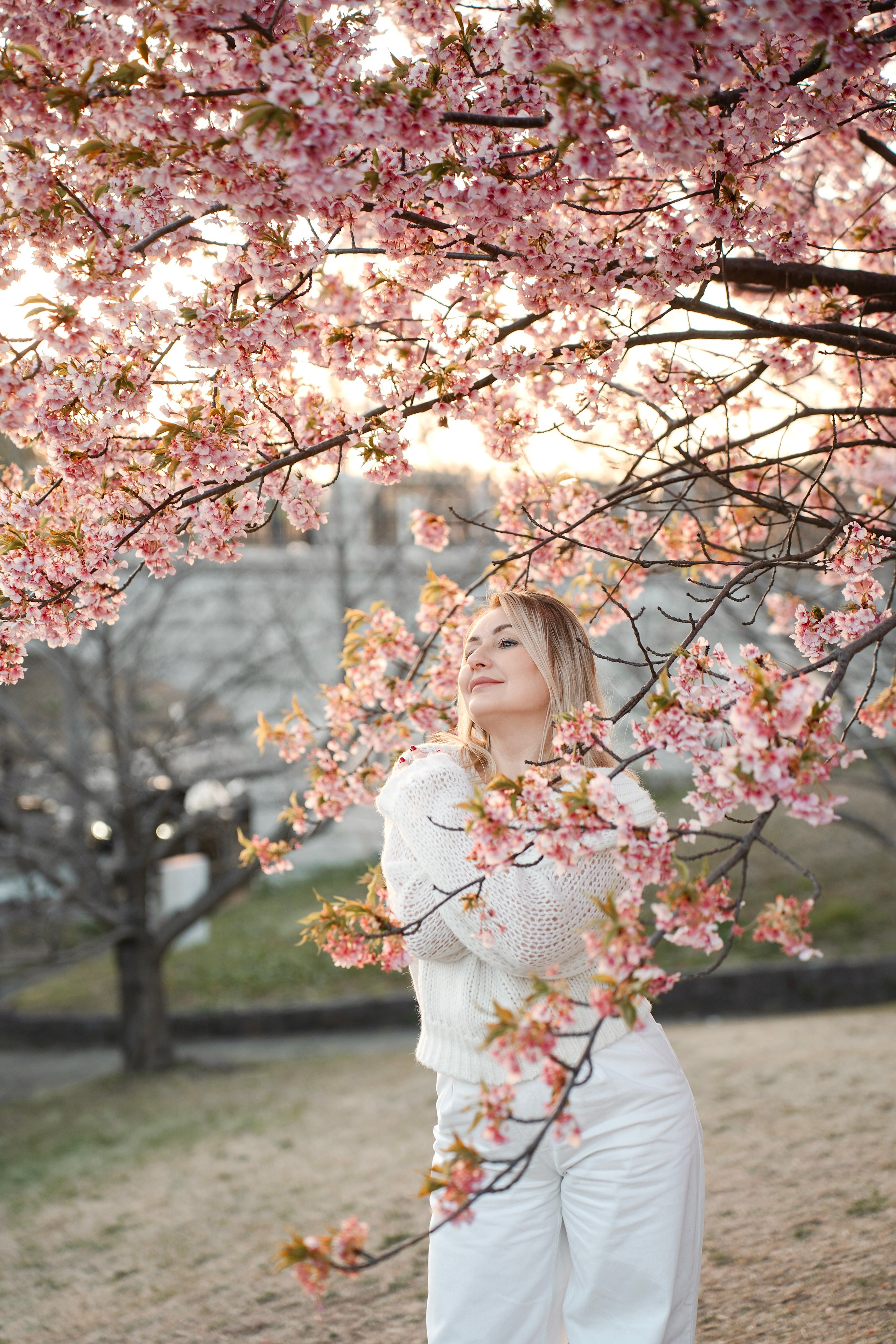Sakura. Фотограф Алина Диева Москва | Токио