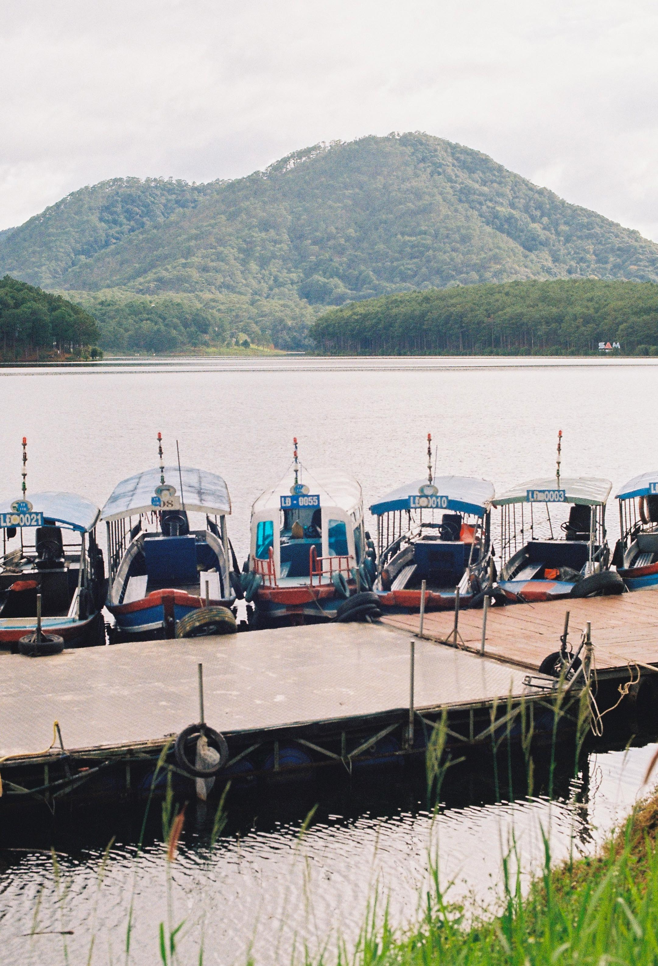 Dalat 2024. Film Photographer in Da Nang, Vietnam — Tanya Parfenteva