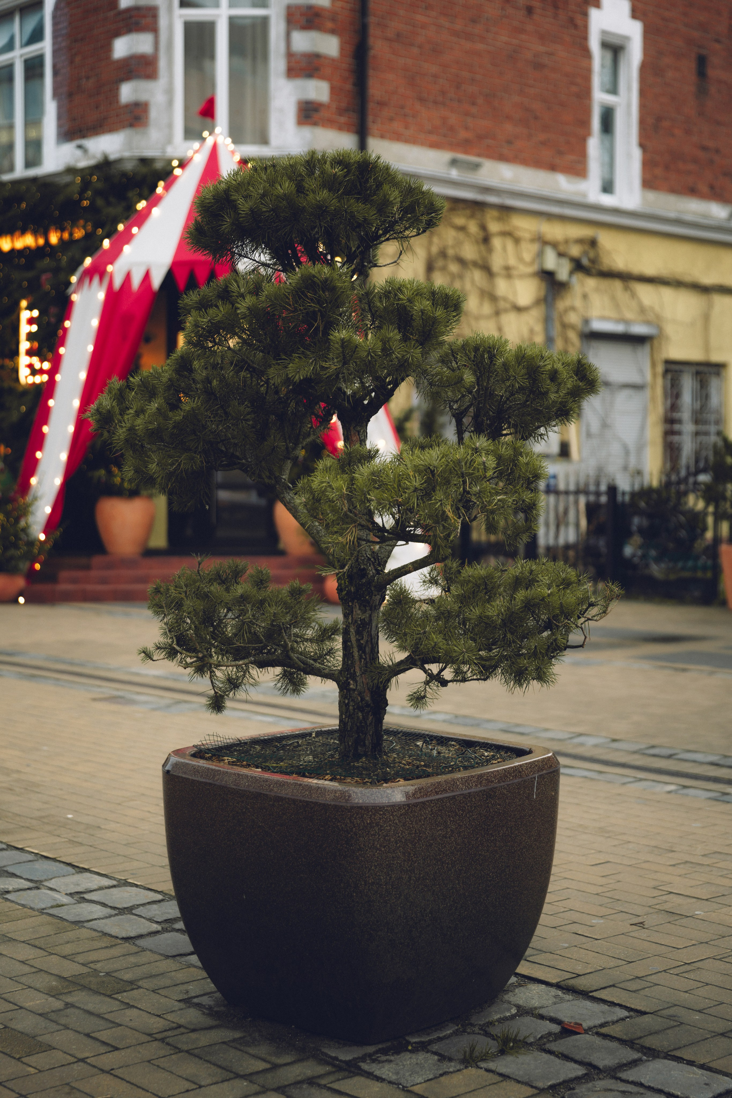 Фотограф Калининград Илья Миллер
