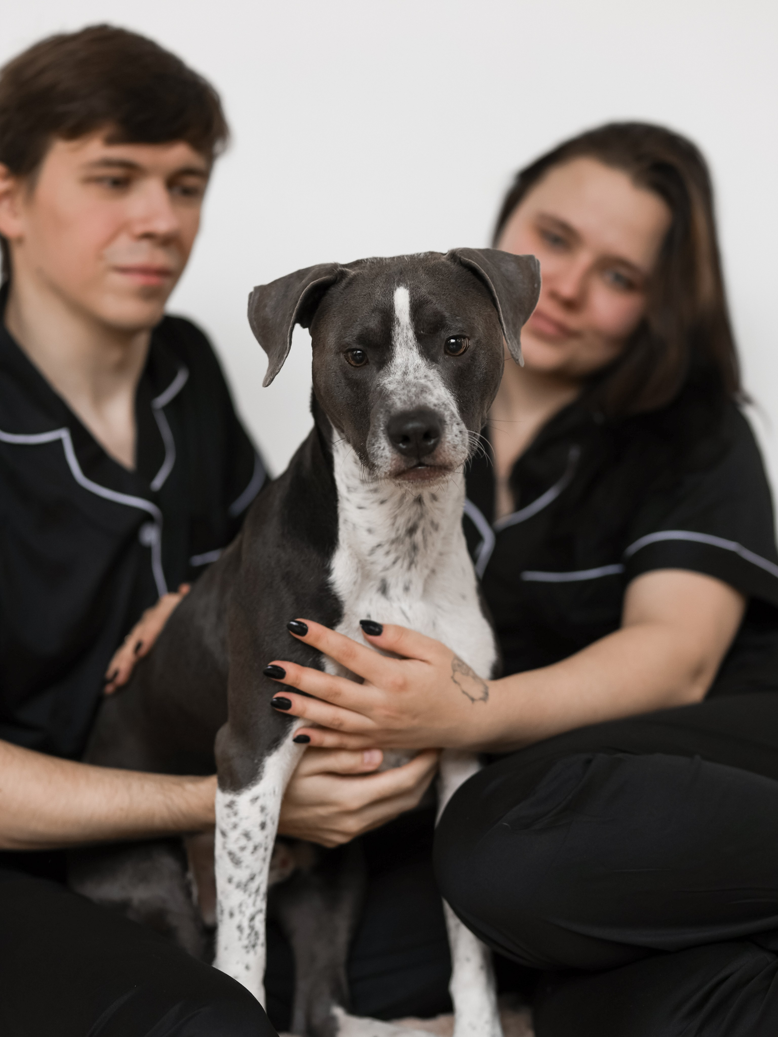 Тортик Даша и Никита. Фотограф-анималист в Москве Кириллова Татьяна