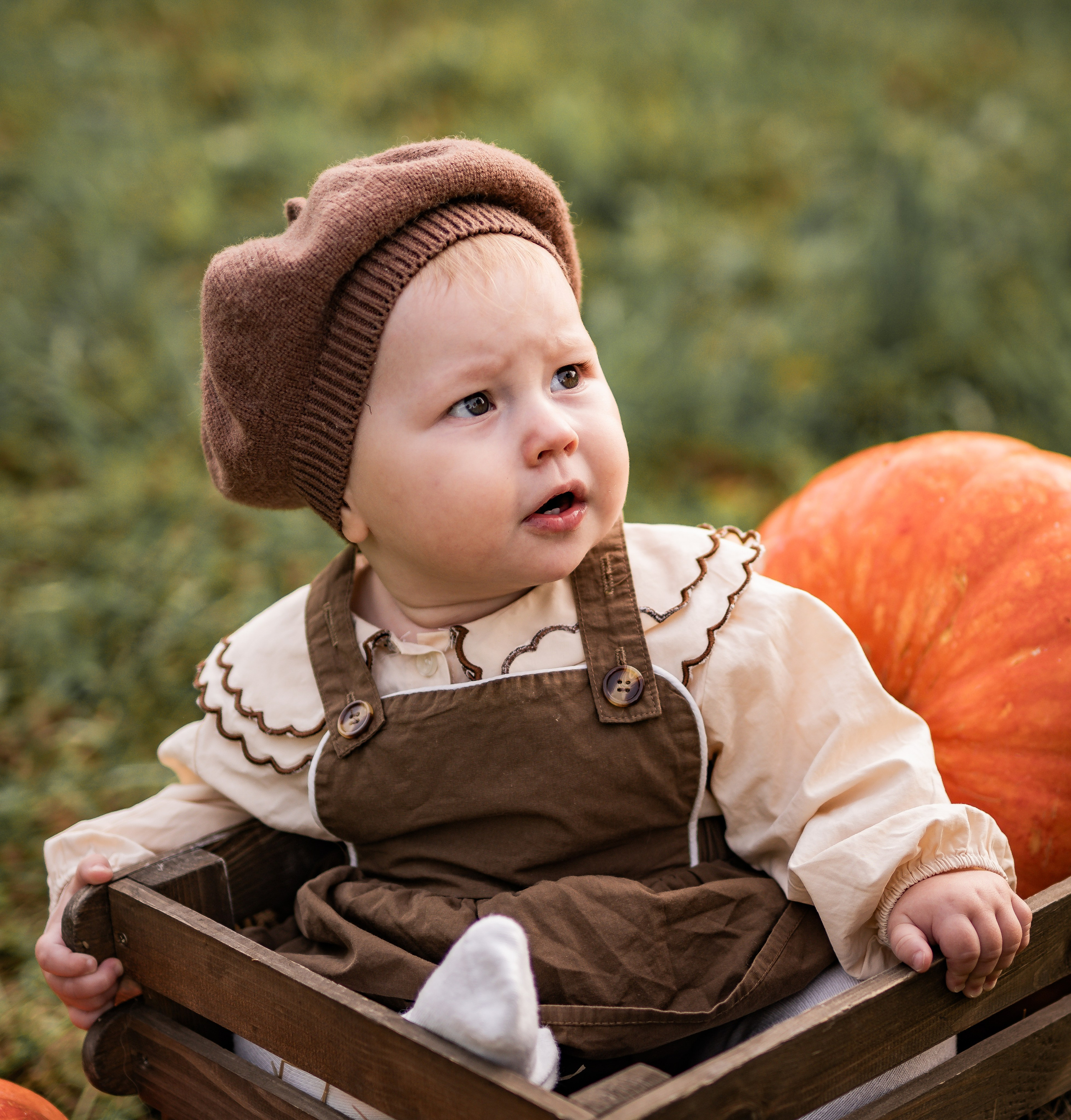 Сентябрь 2025. Семейный фотограф Ефремова Виктория