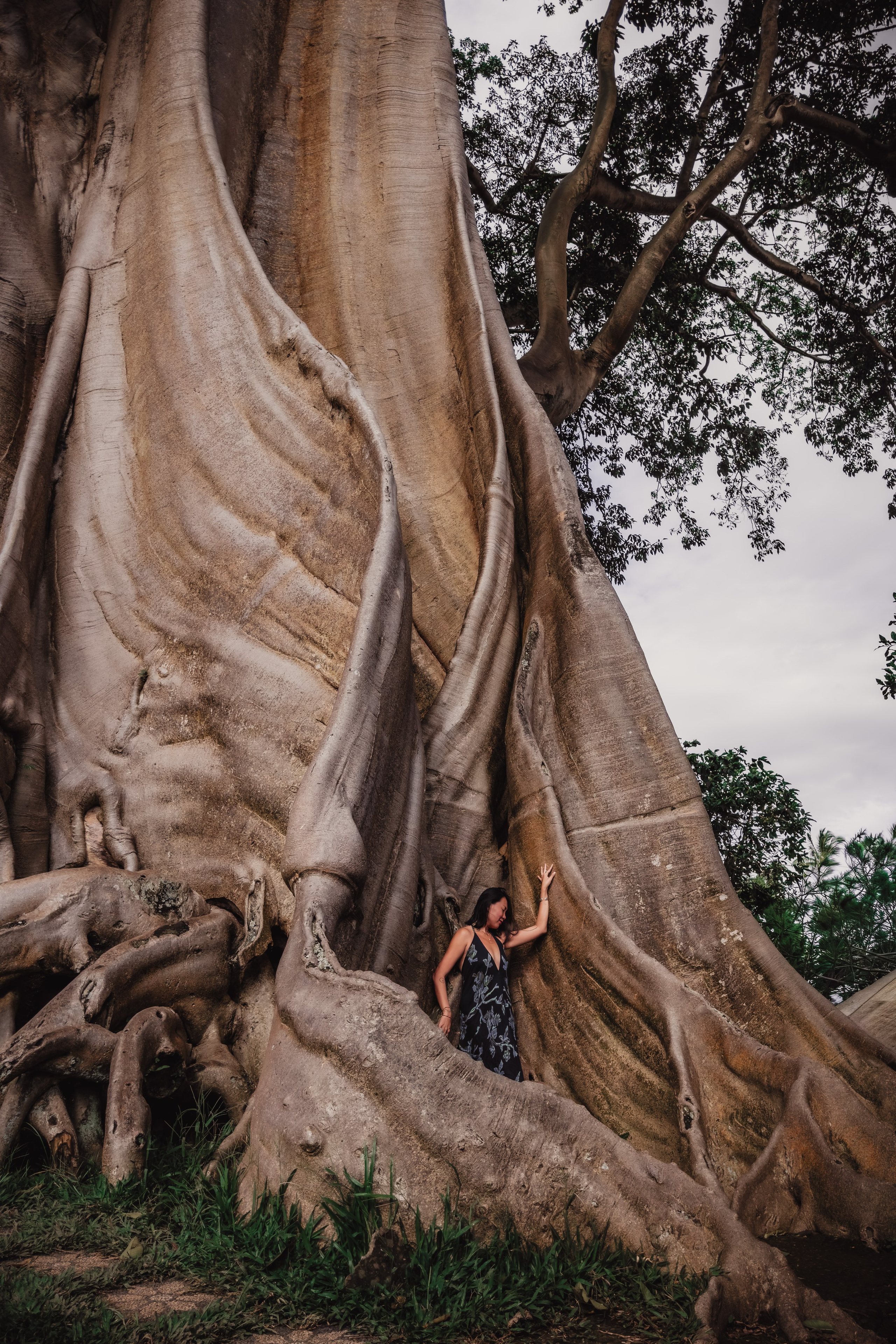 Banyan date. Mariam Bagdasaryan