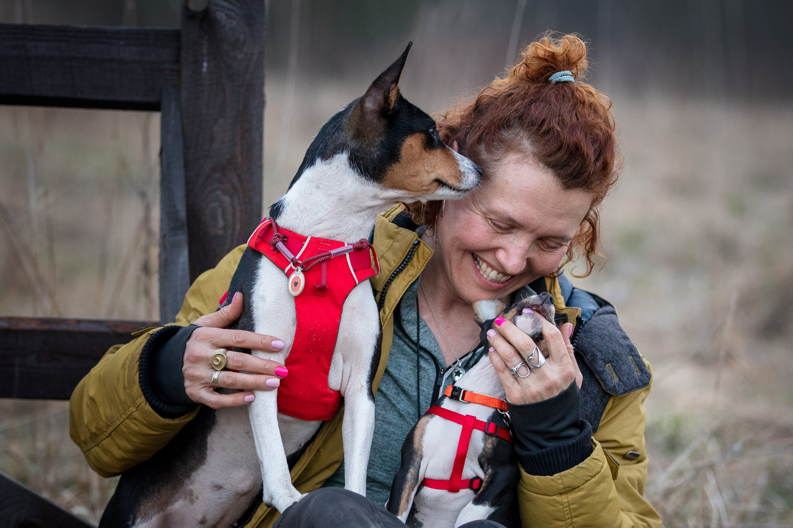 Олеся, Баста и Юна. Фотограф-анималист в Калуге Мария Шерскова