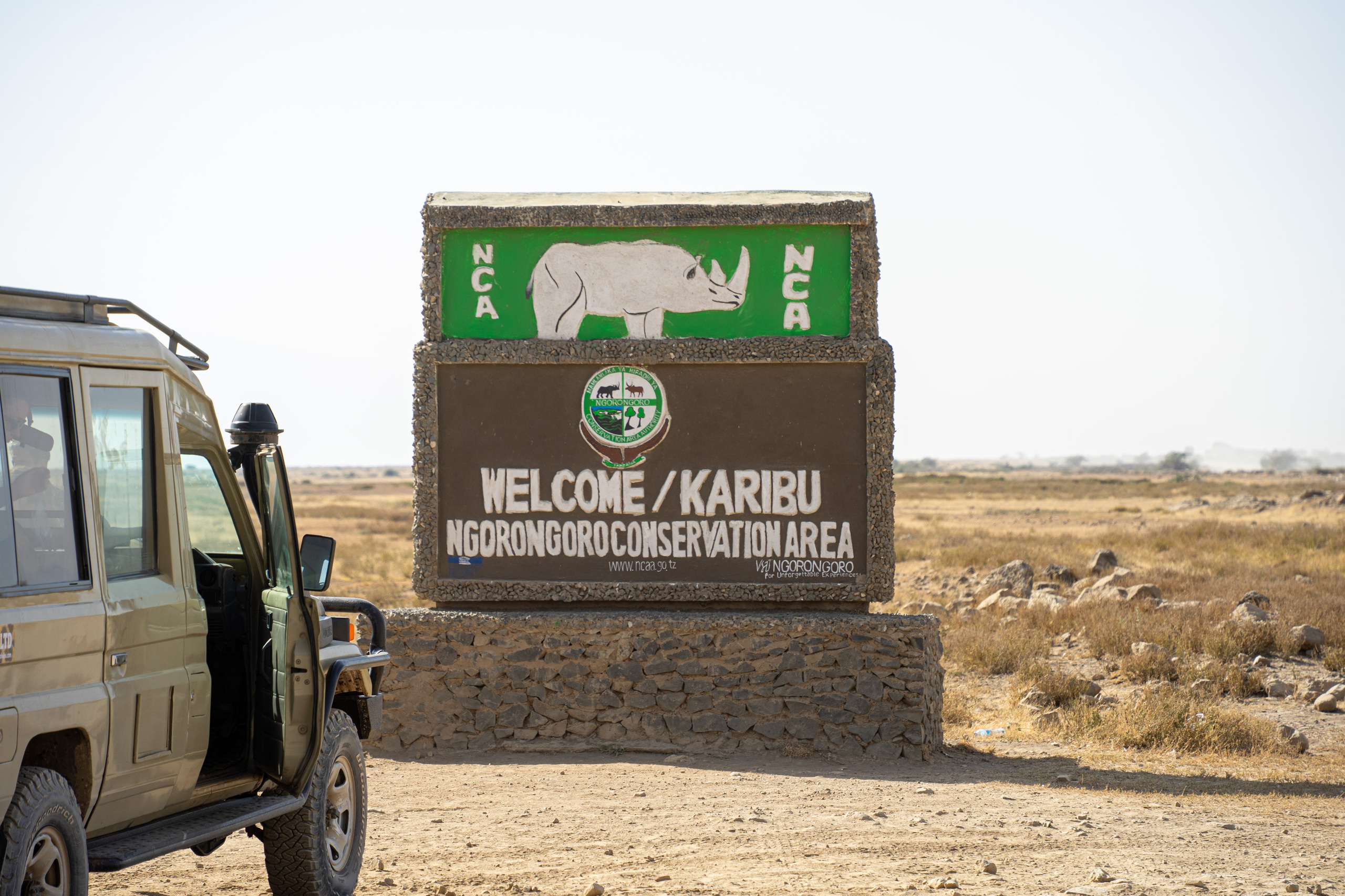 Танзания, сафари, 2025. Творческие сьемки