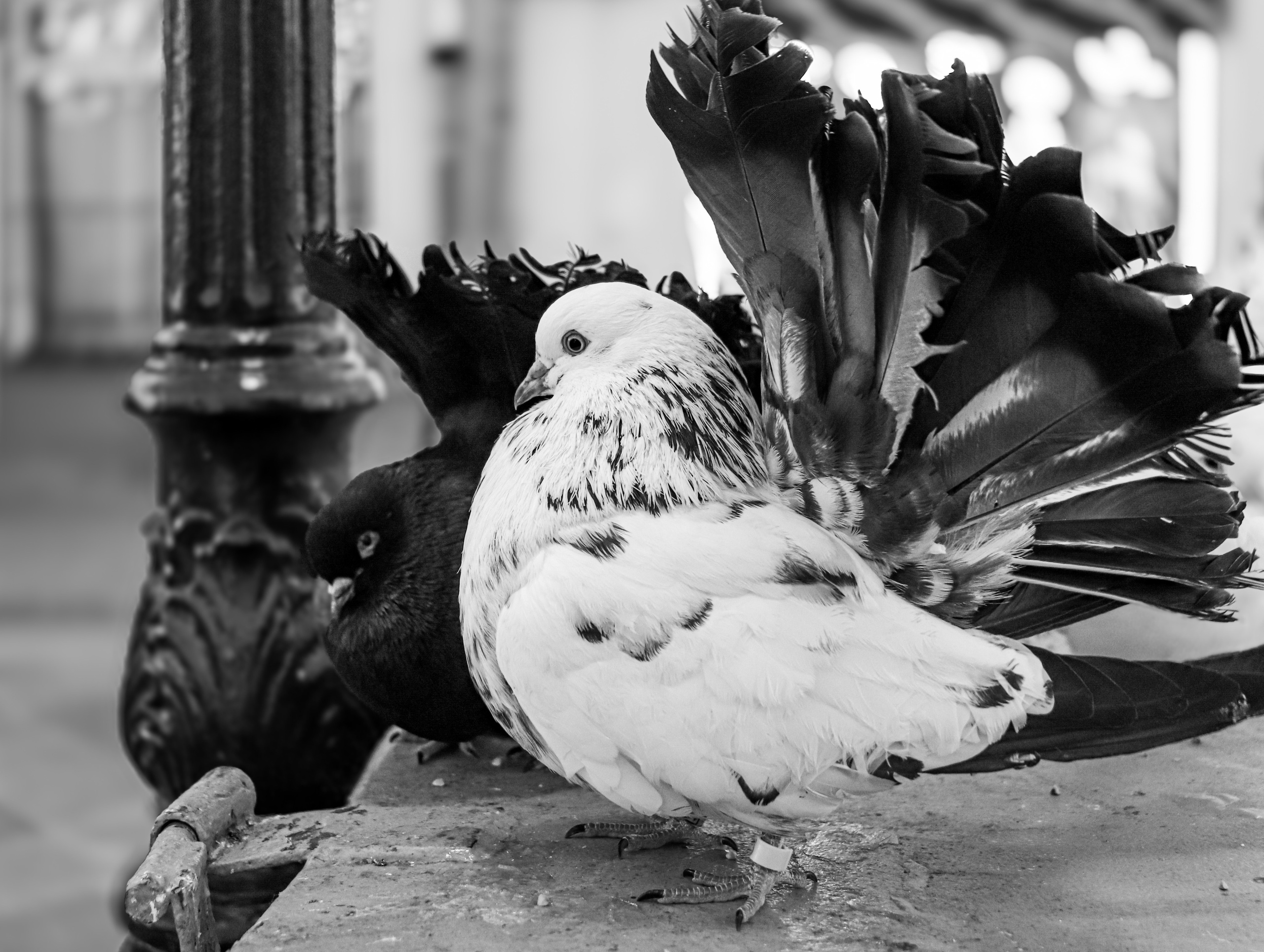 Вечер. Фотограф репортажей и стритфотосессий в Москве Людмила Смирнова