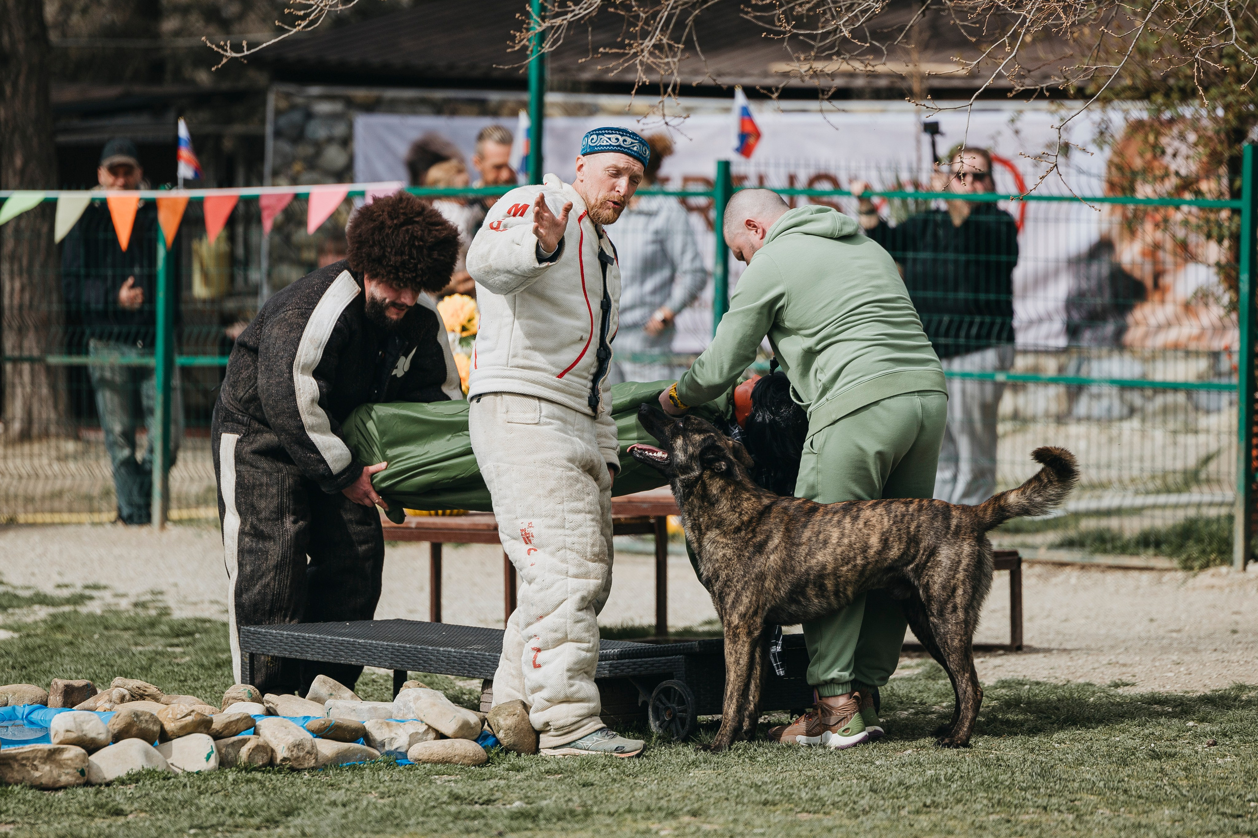Геленджик Мондьоринг. Фотограф-анималист Анна Маринич