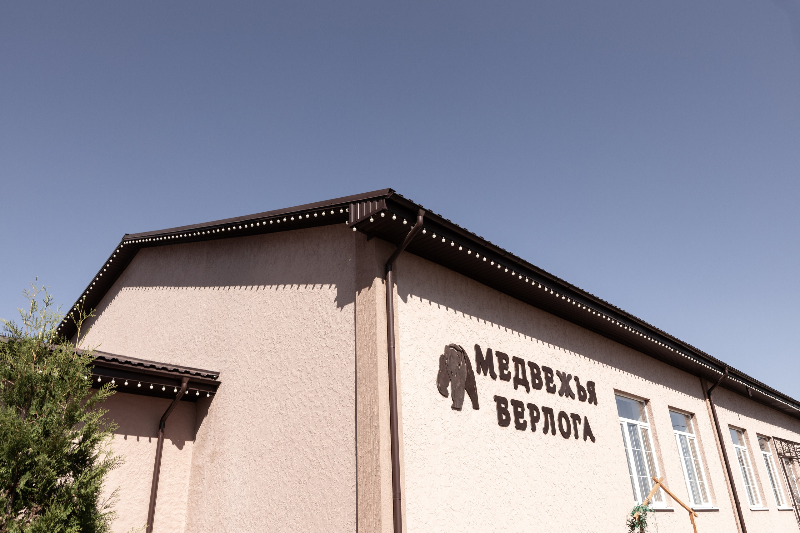 Саша и Виталия. Свадебный фотограф в Воронеже Вероника Богай