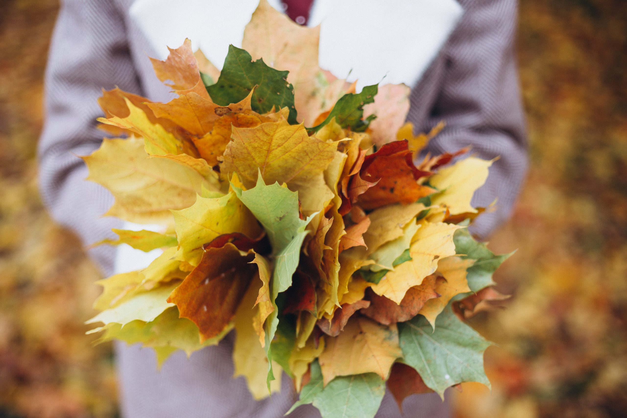 Съемка Love story Антона и Марии. Елагин остров. Свадебный и семейный фотограф в Санкт-Петербурге Яцына Юрий. Видеоопер
