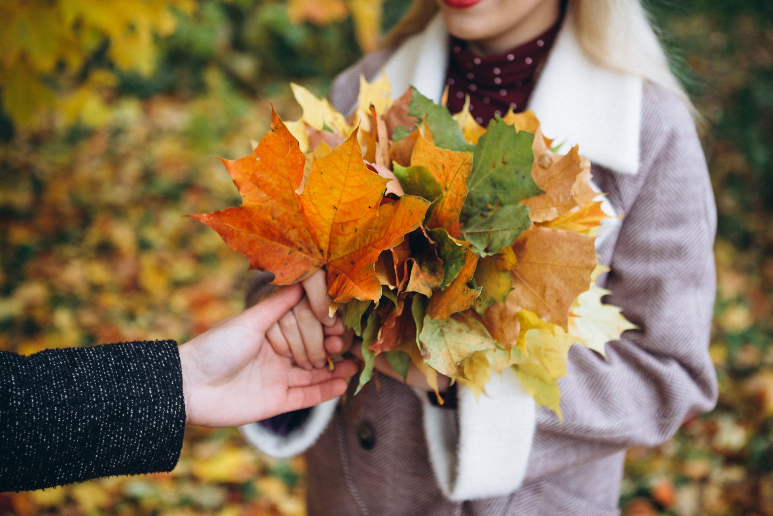 Съемка Love story Антона и Марии. Елагин остров. Свадебный и семейный фотограф в Санкт-Петербурге Яцына Юрий. Видеоопер