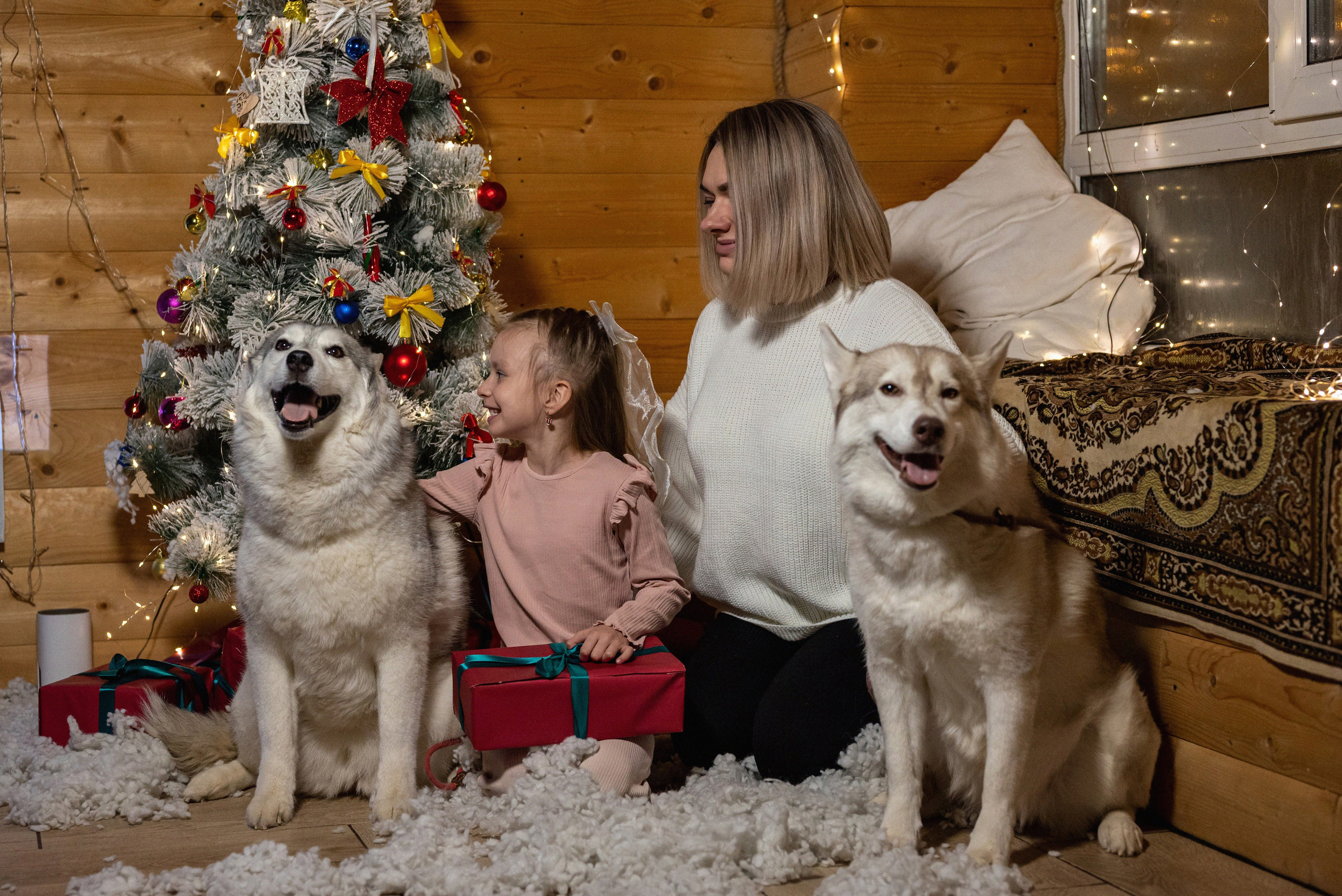 Фотопроект с хаски 2024 г. Фотограф в городе Салават