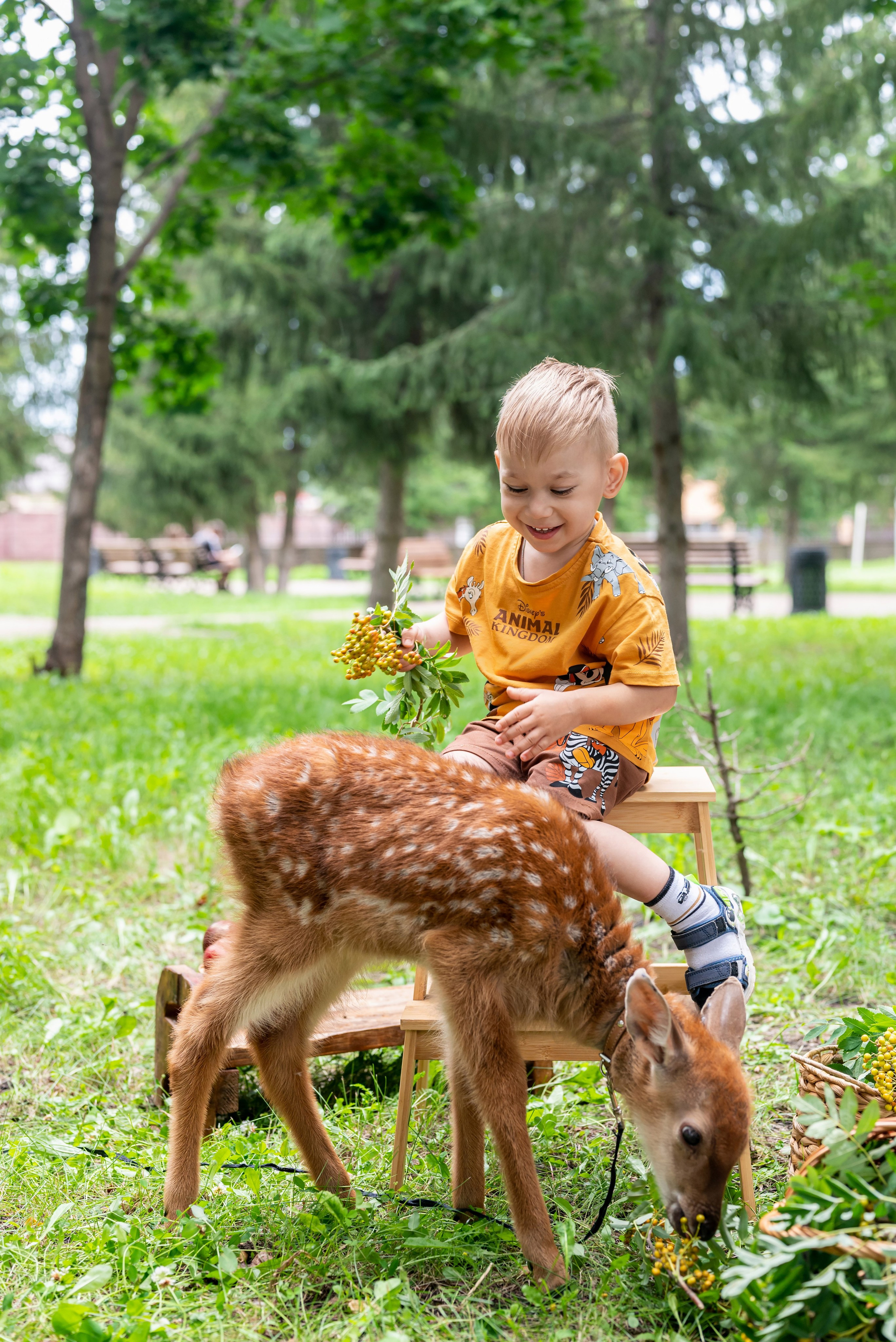 Фотопроект *Оленёнок Бэмби*. Фотограф в городе Салават