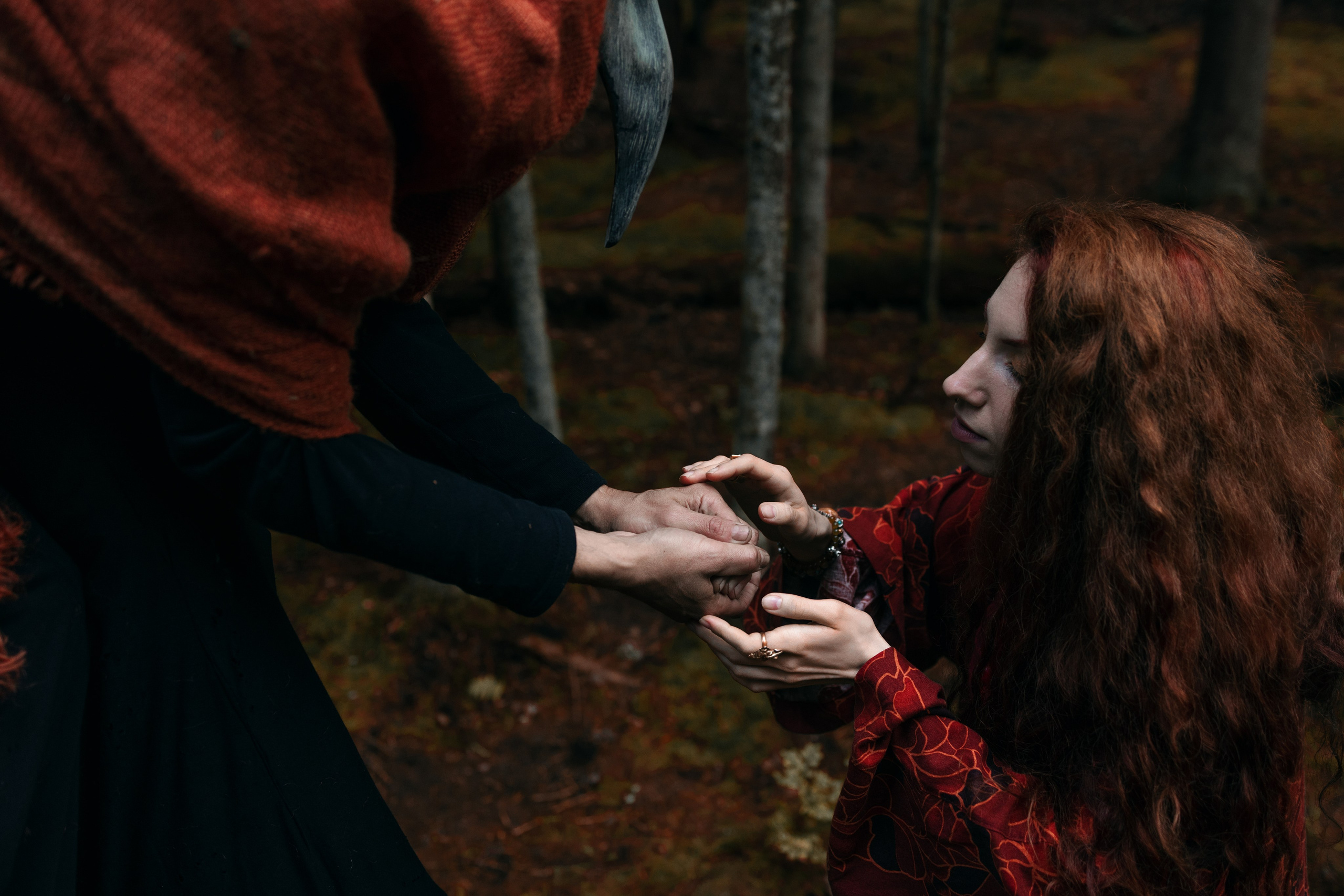 Огненная Лисица