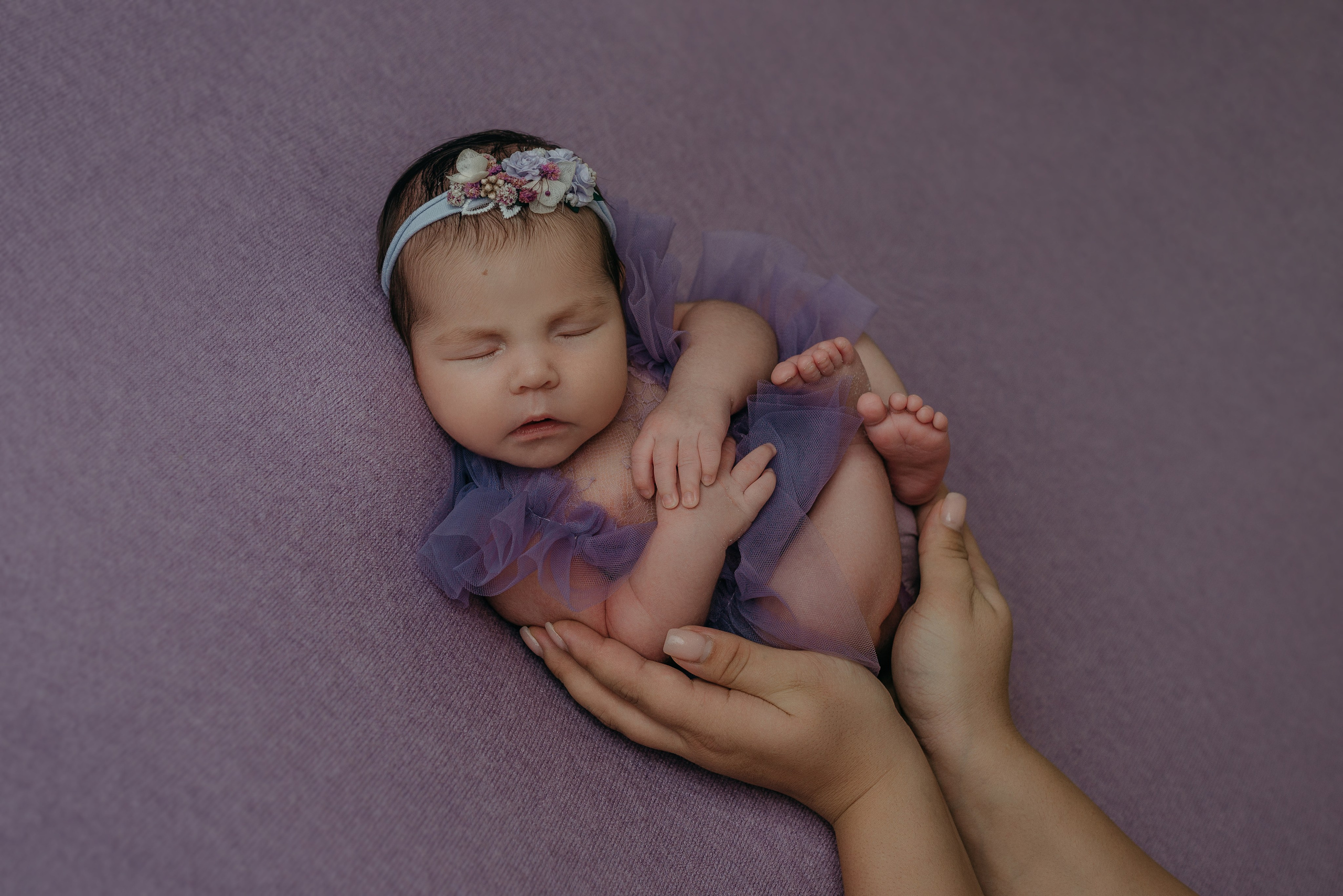 Ева. Фотограф новорожденных Белгород