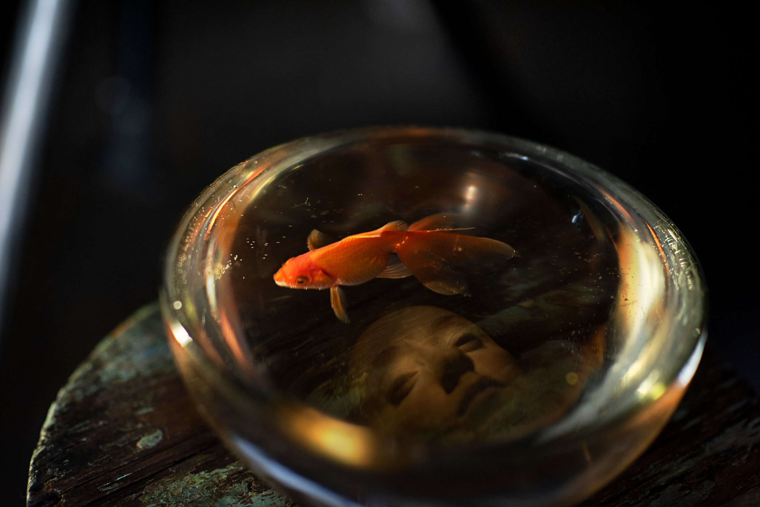 Одиночество. Фотограф Альбина Шер