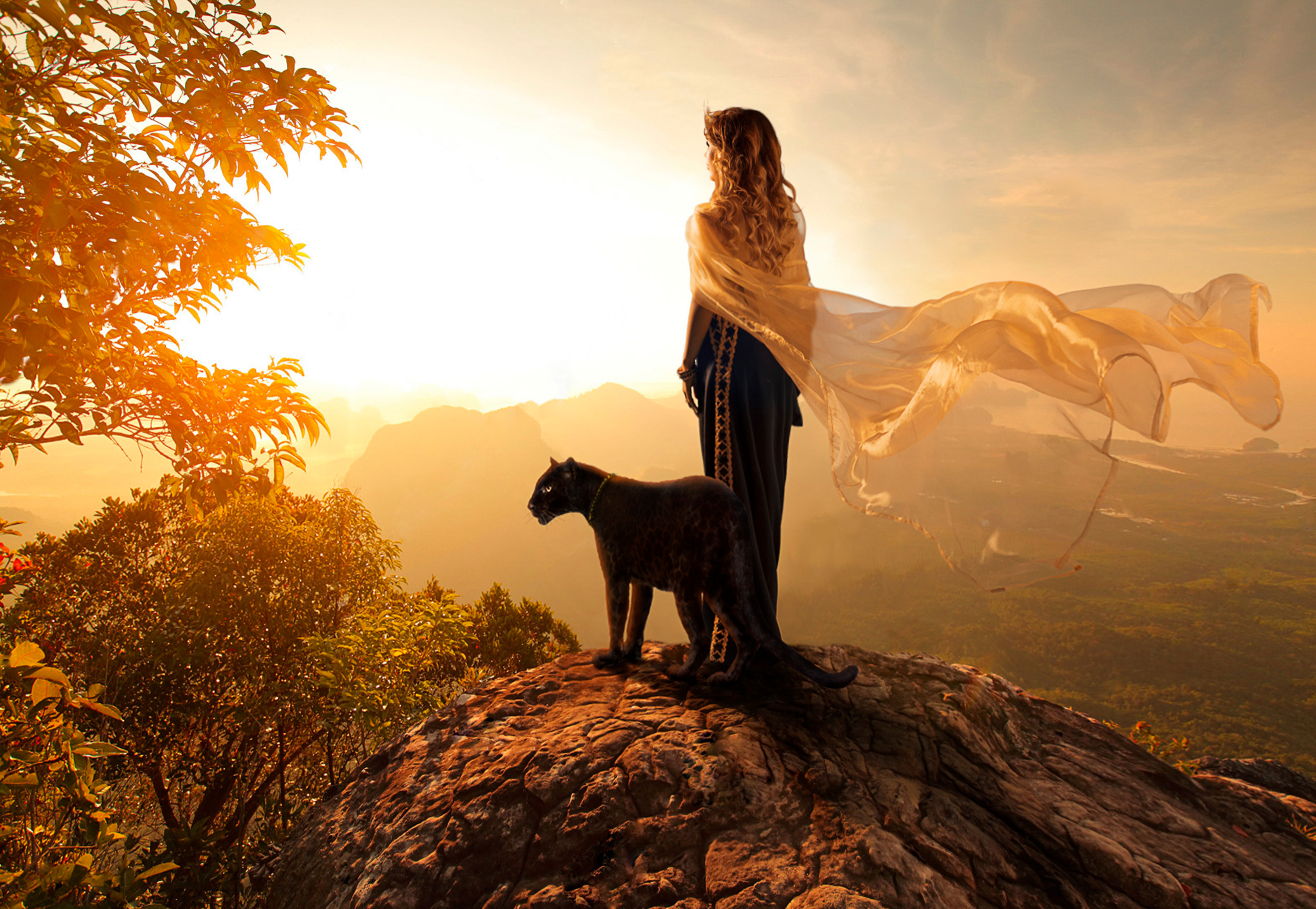 Две пантеры. Фотограф Альбина Шер