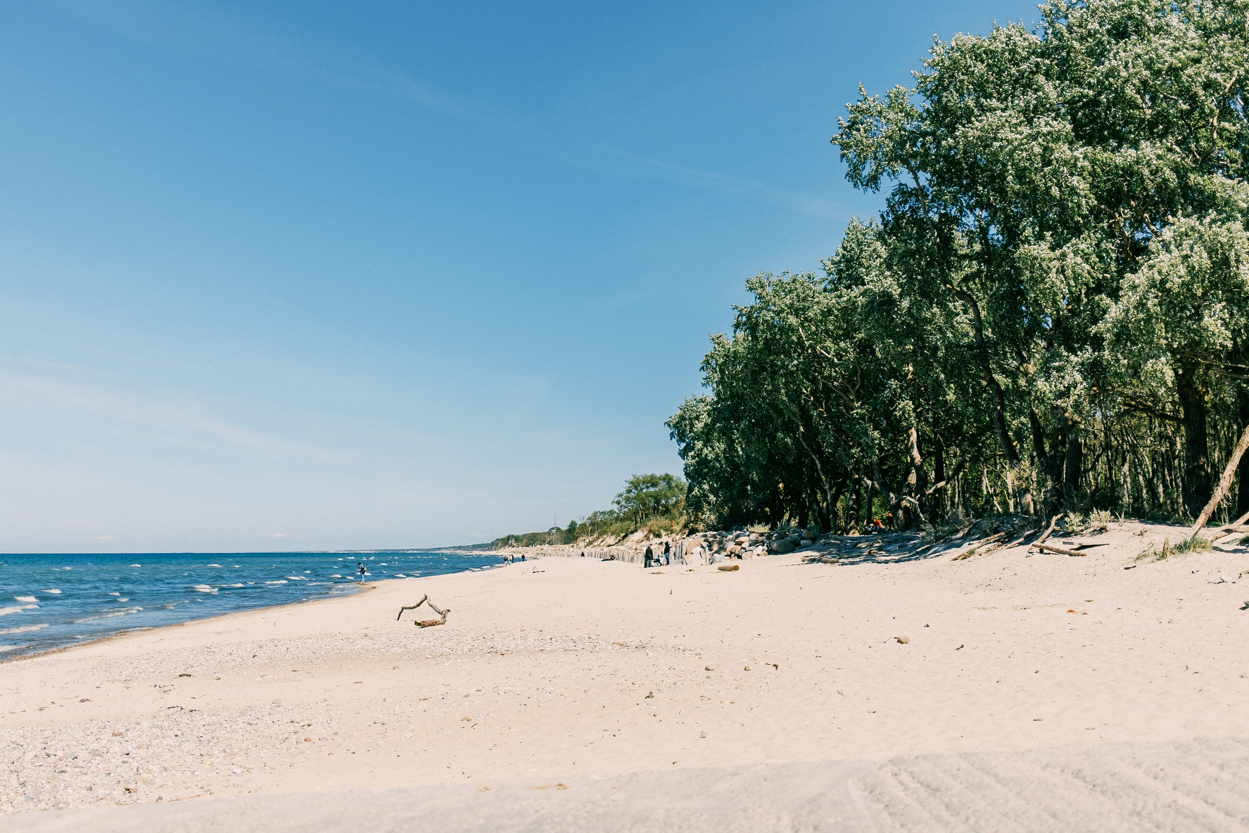 Зеленоградск. Аня Степанова